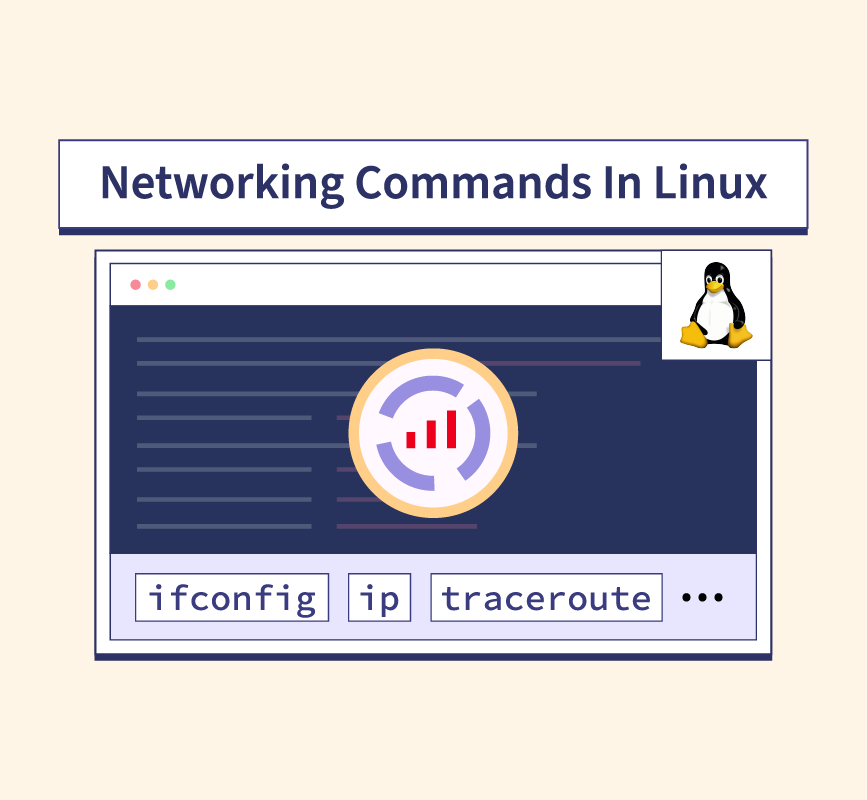 whois Command in Linux Explained