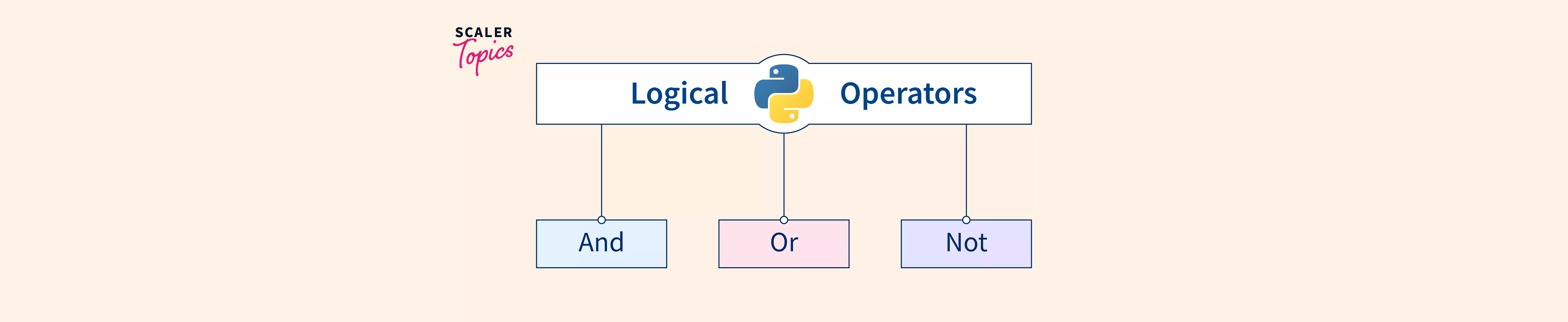 Logical Operators Python Flowchart Hot Sex Picture 1957