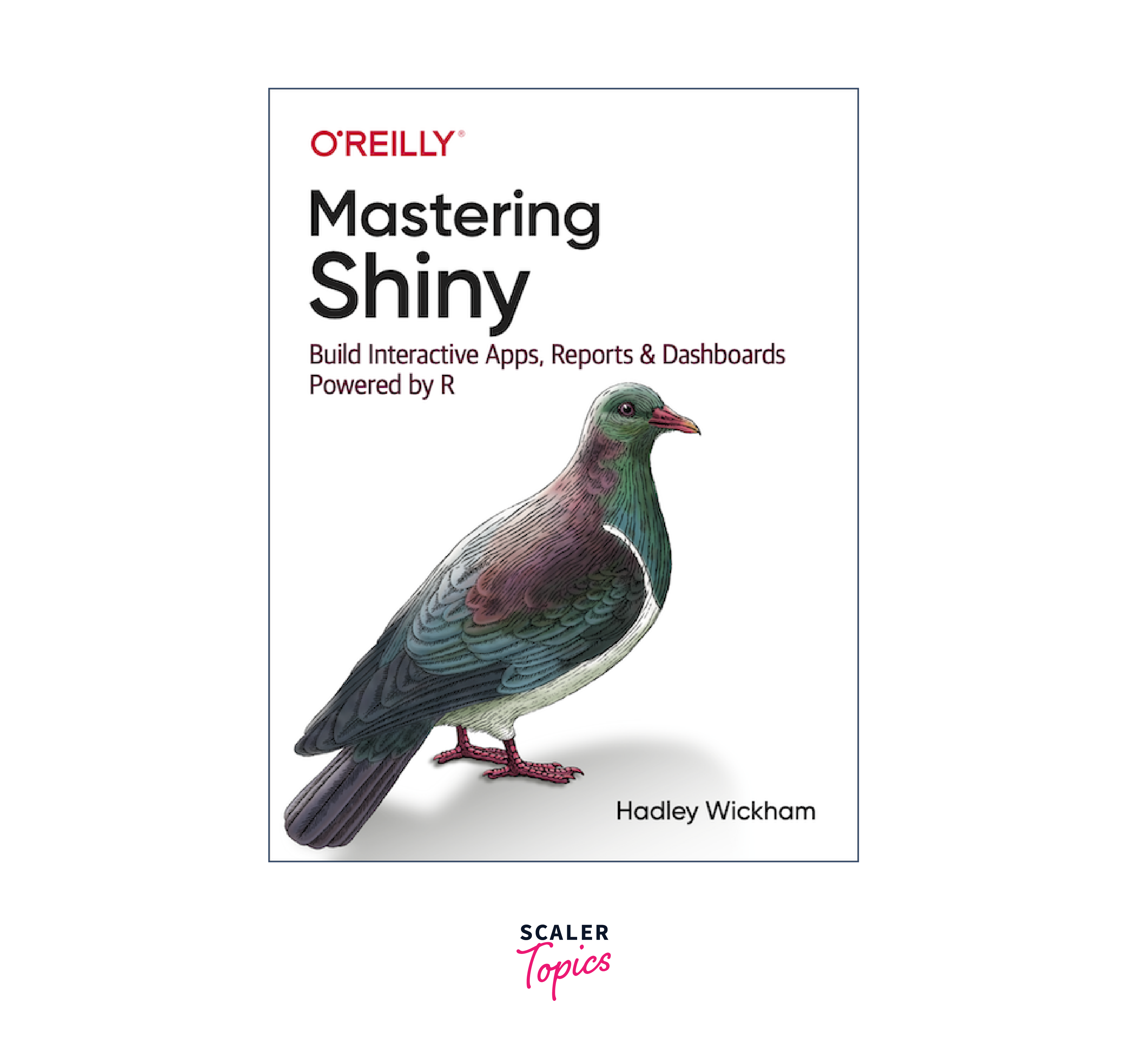 Mastering Shiny