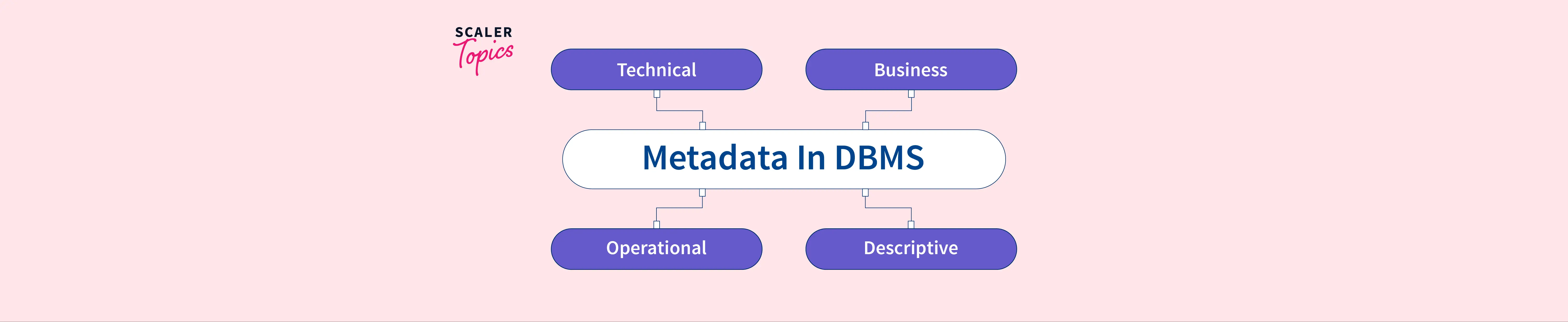 what-is-metadata-in-dbms-scaler-topics