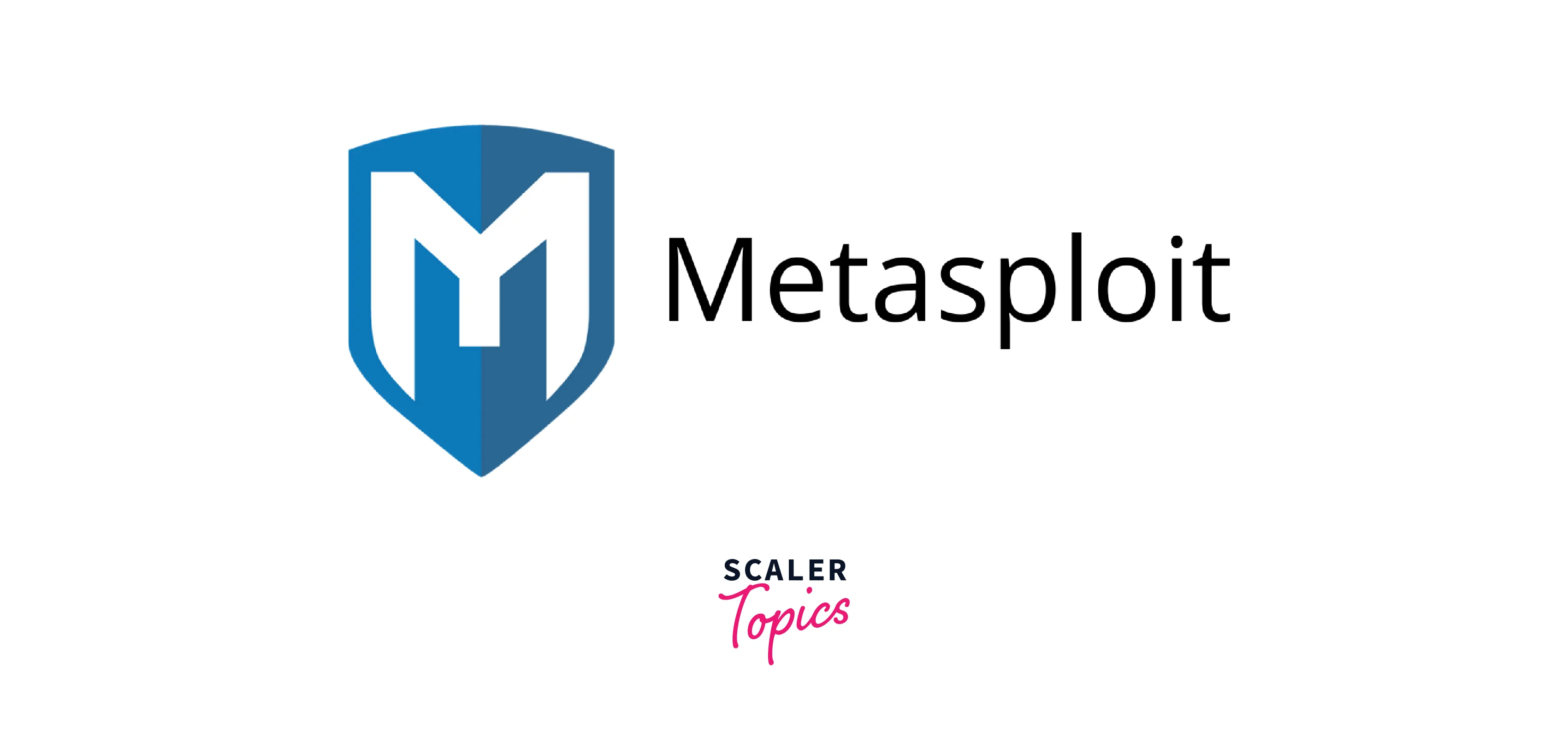 metasplout 6 logo