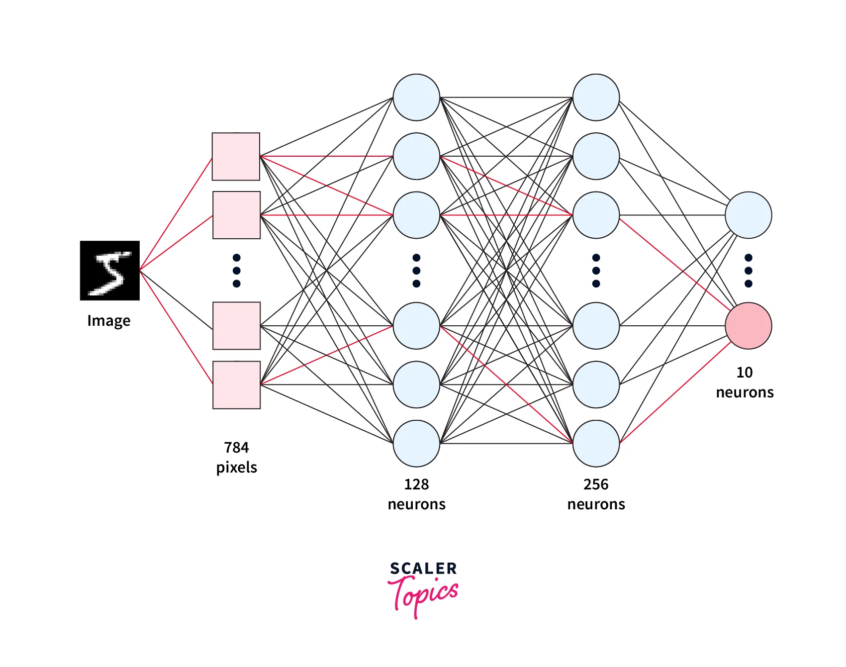 migrate-pytorch