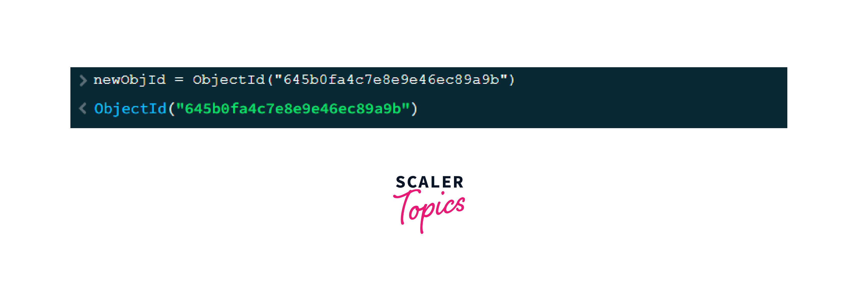 specifying a hexadecimal string syntax using objectid