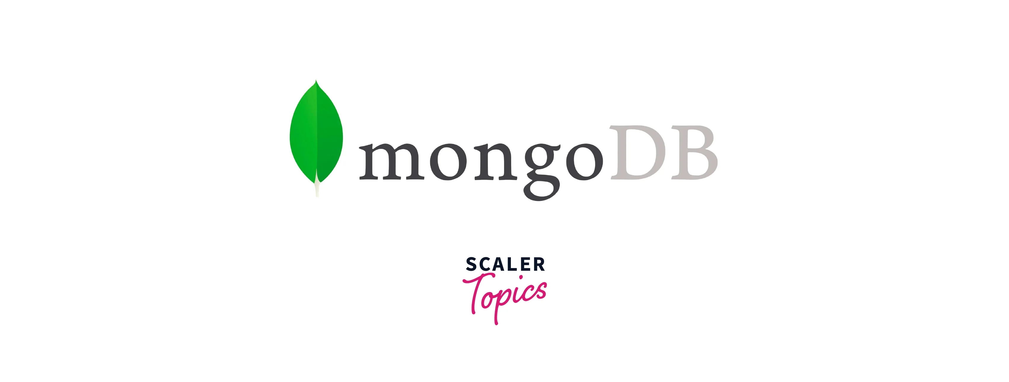 MongoDB Search