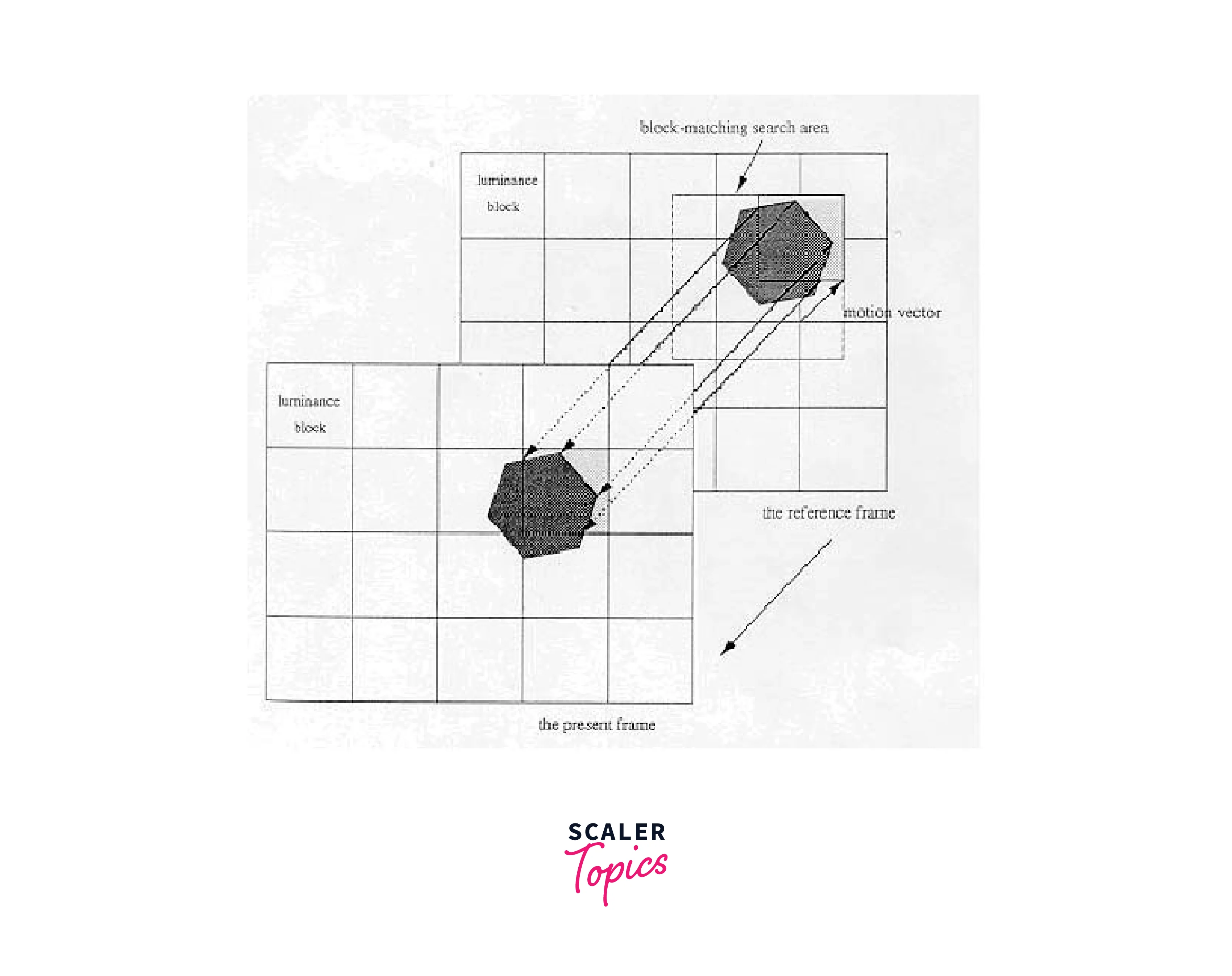 motion estimation compensation