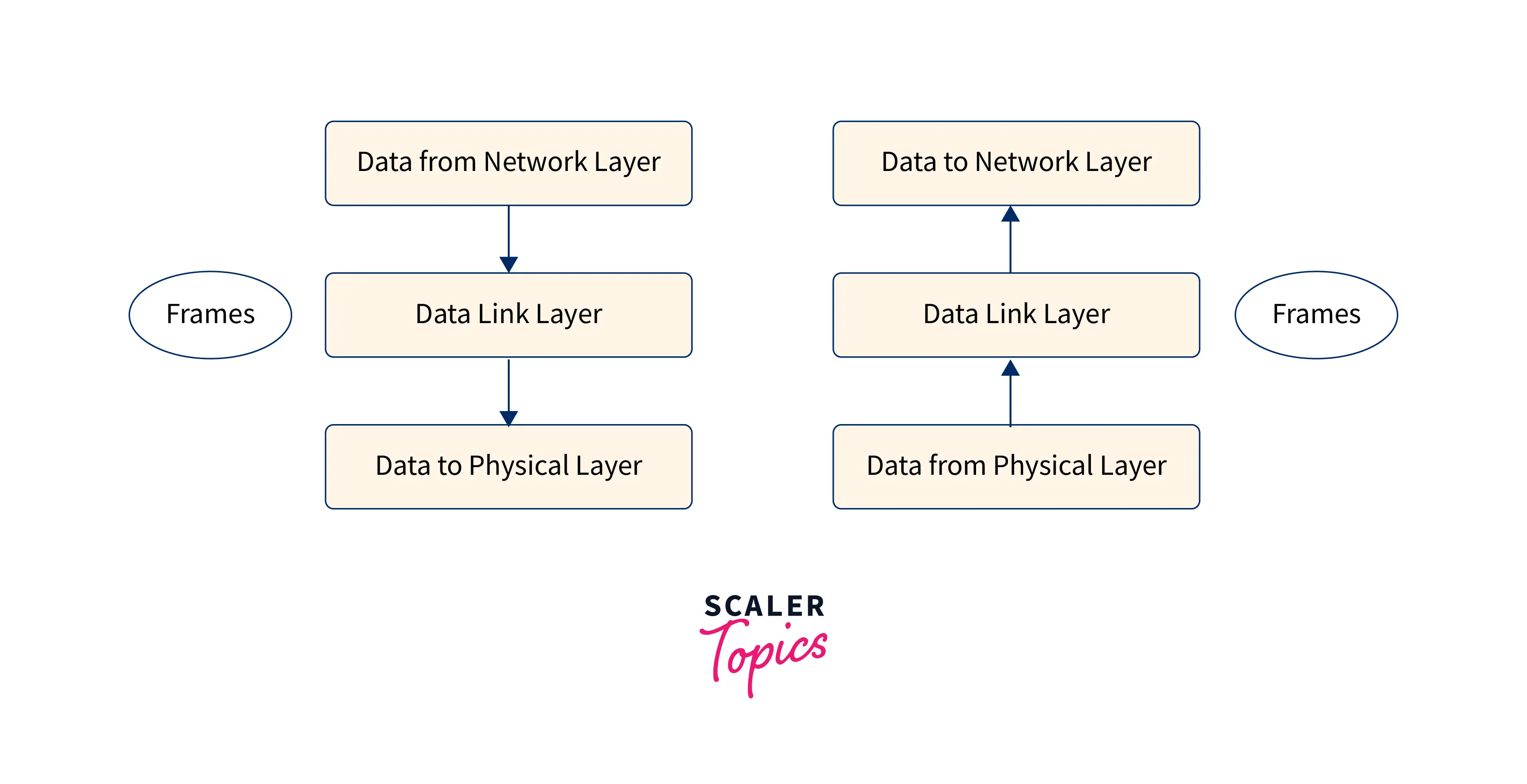 multi-access-in-data-link-layer