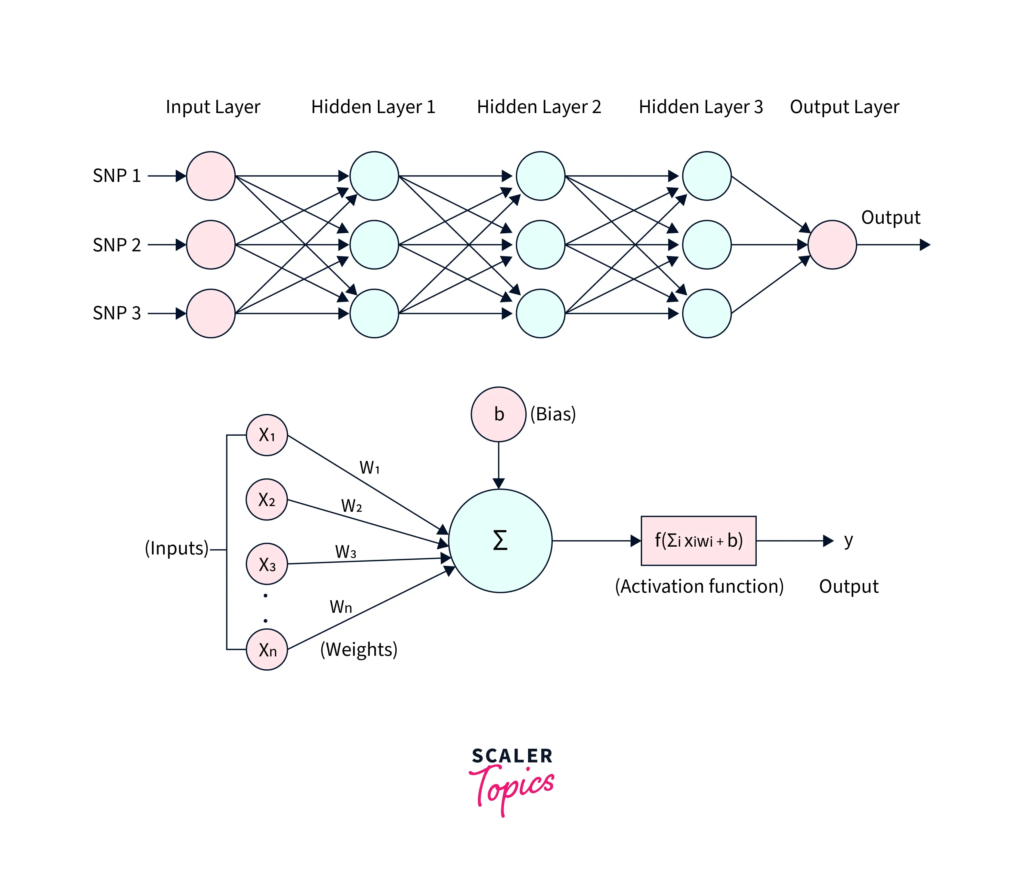 Introduction to Neural Networks and Deep Learning- Scaler Topics