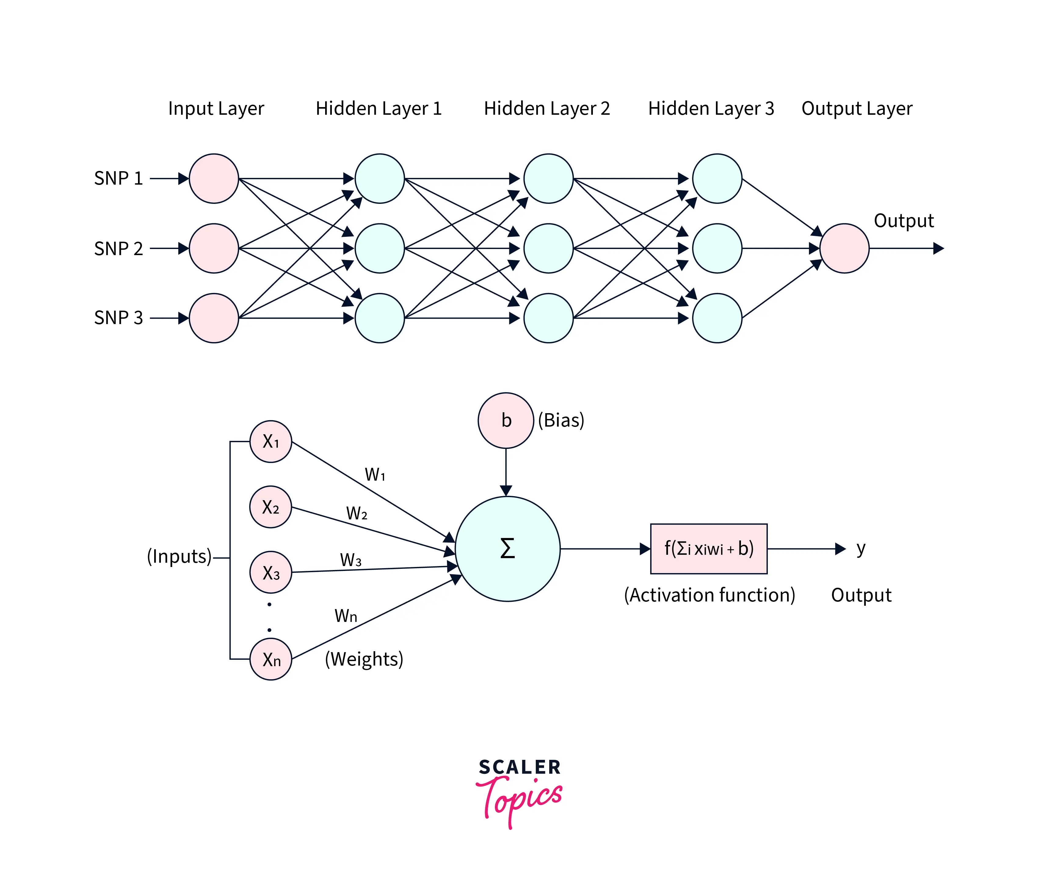 Multi-layer Perceptron