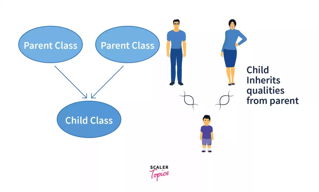 Inheritance In Python Python Inheritance With Examples Scaler Topics 7026