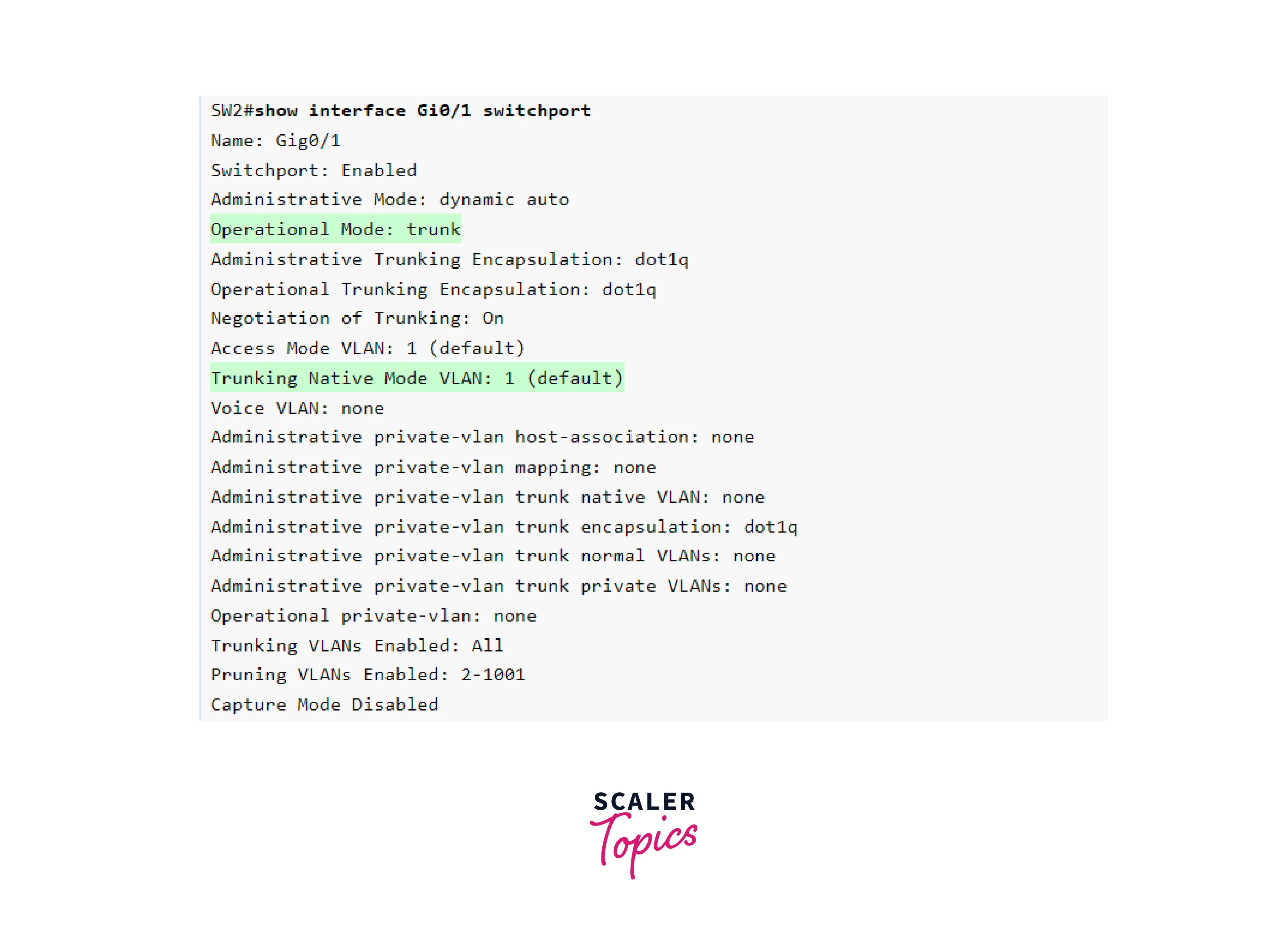 configuring and verifying native vlan on a trunk port