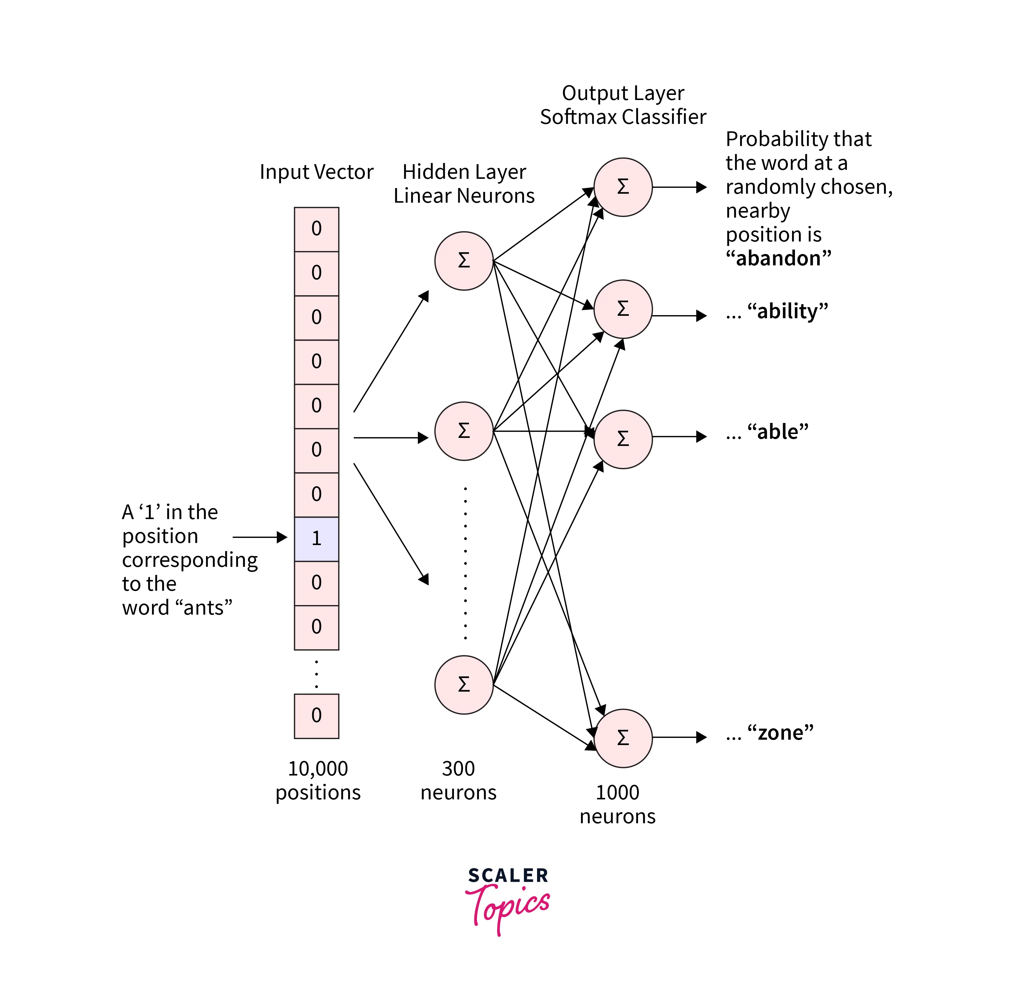 network of wordvec