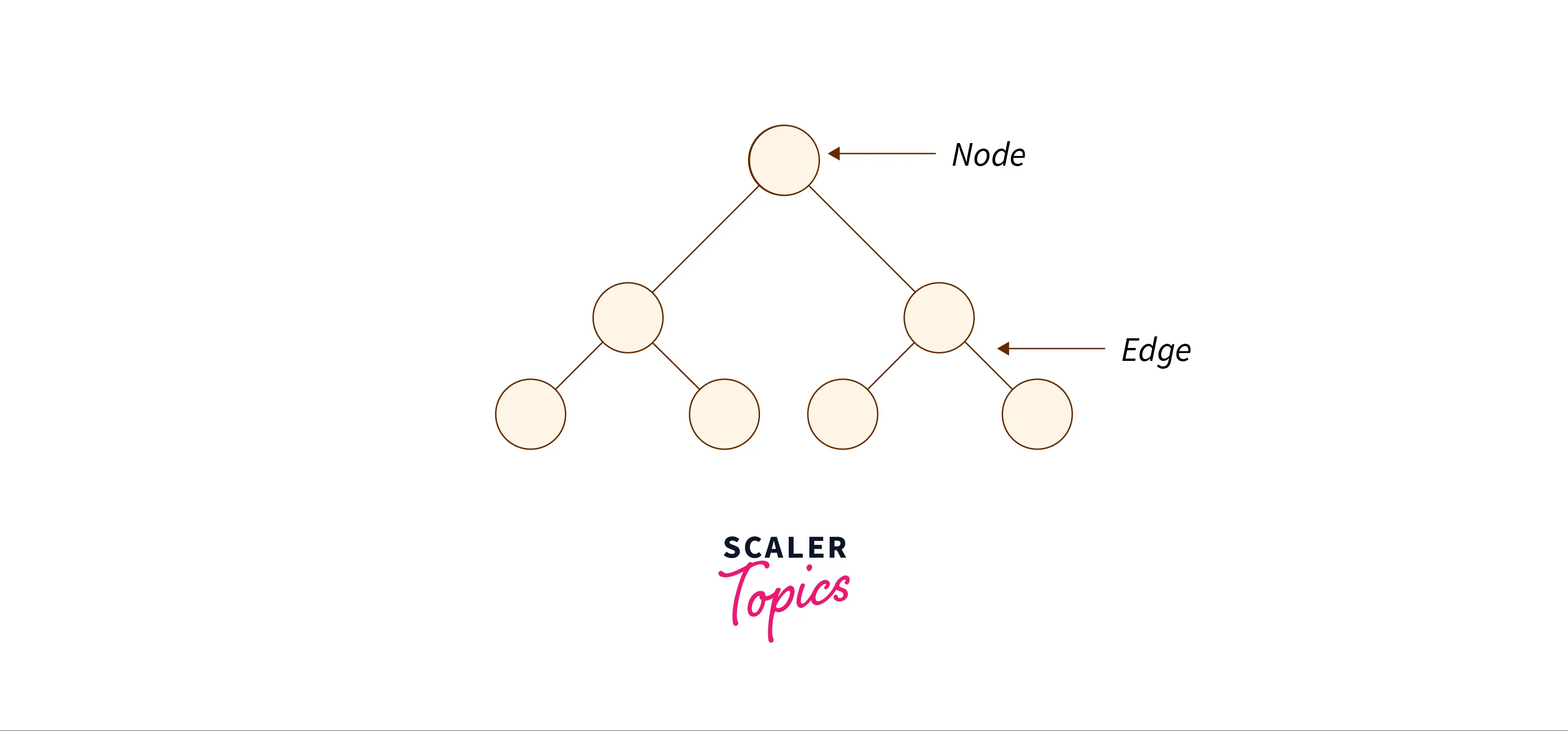 Nodes and Edges Representation