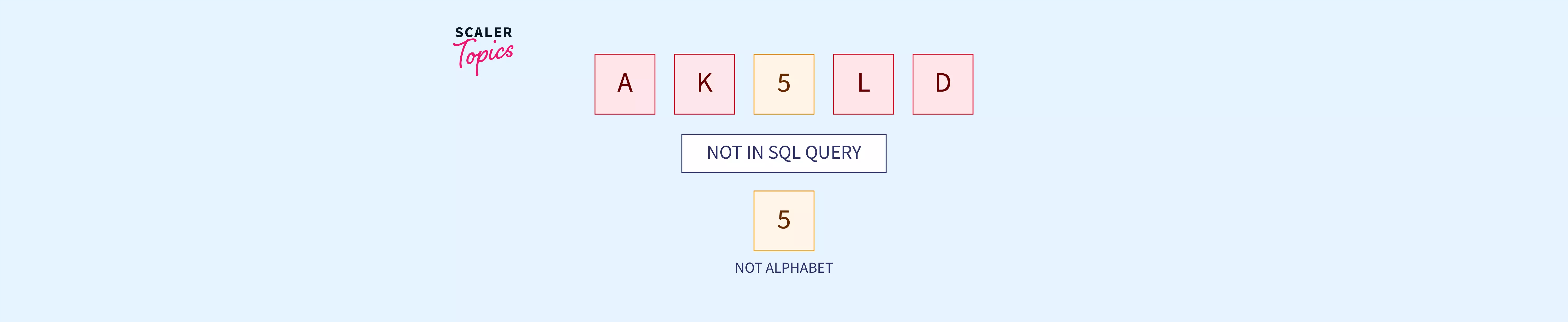 not-in-sql-query-scaler-topics