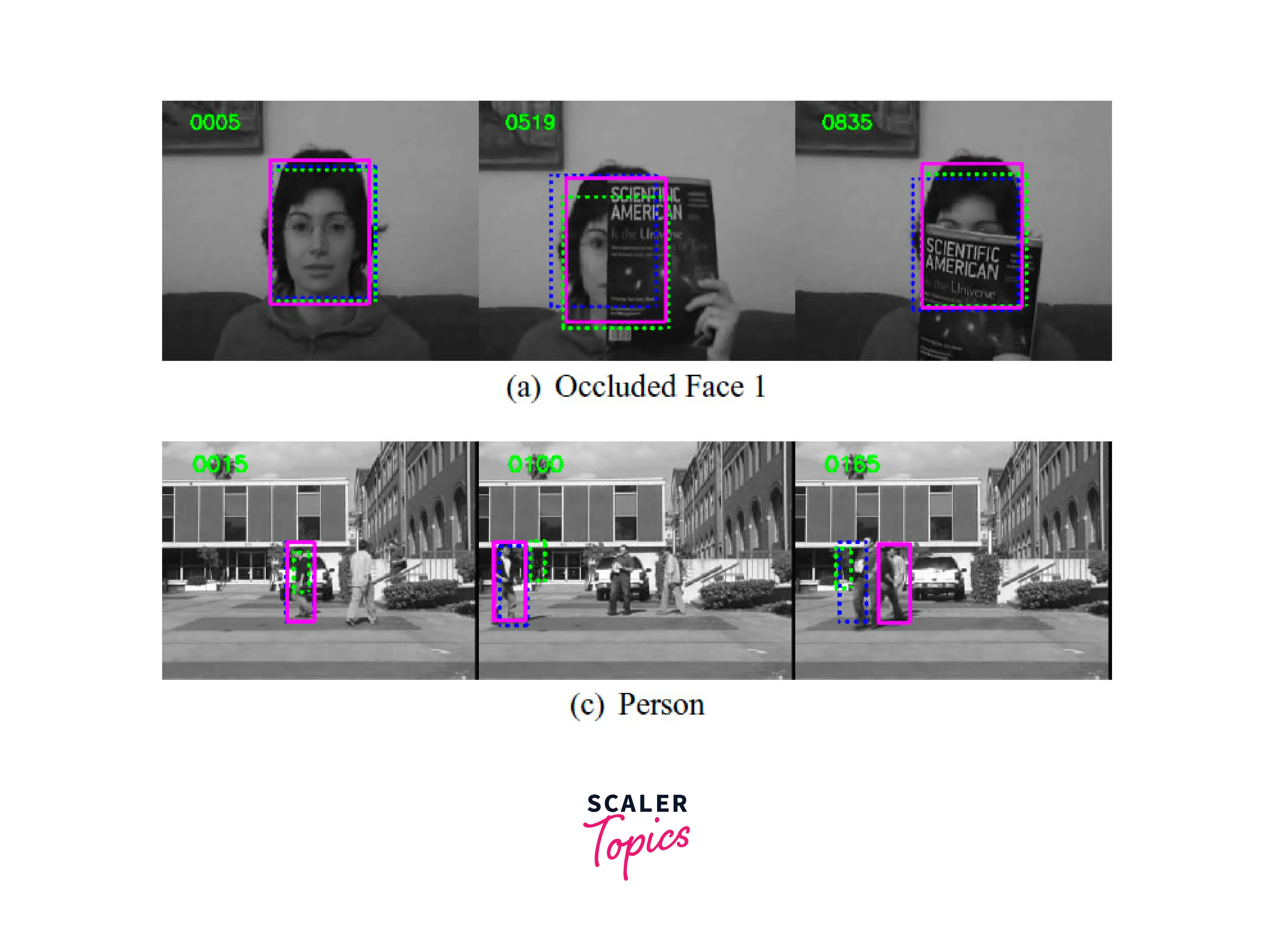 Introduction to Object Tracking - Scaler Topics