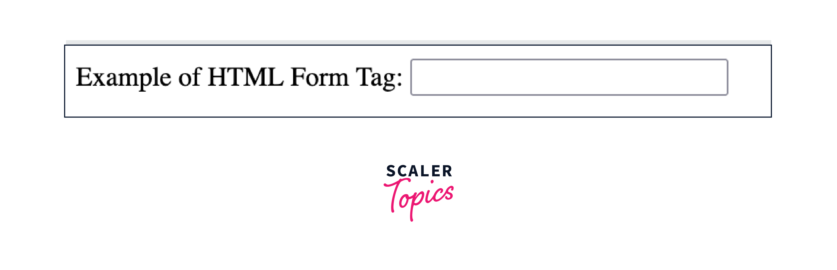 Output of HTML Form Tag