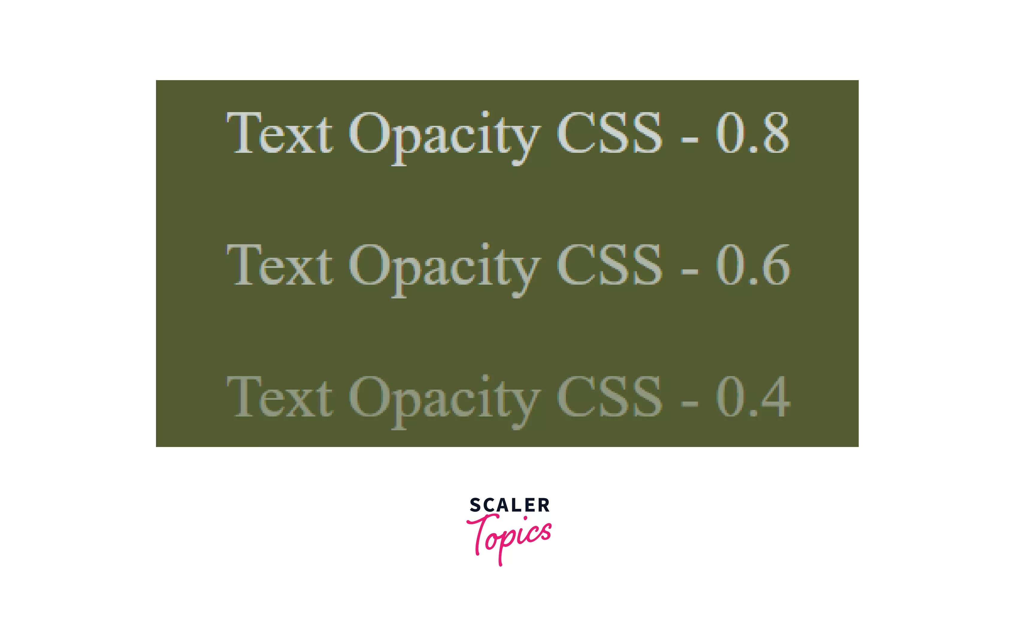 output of Text Opacity CSS