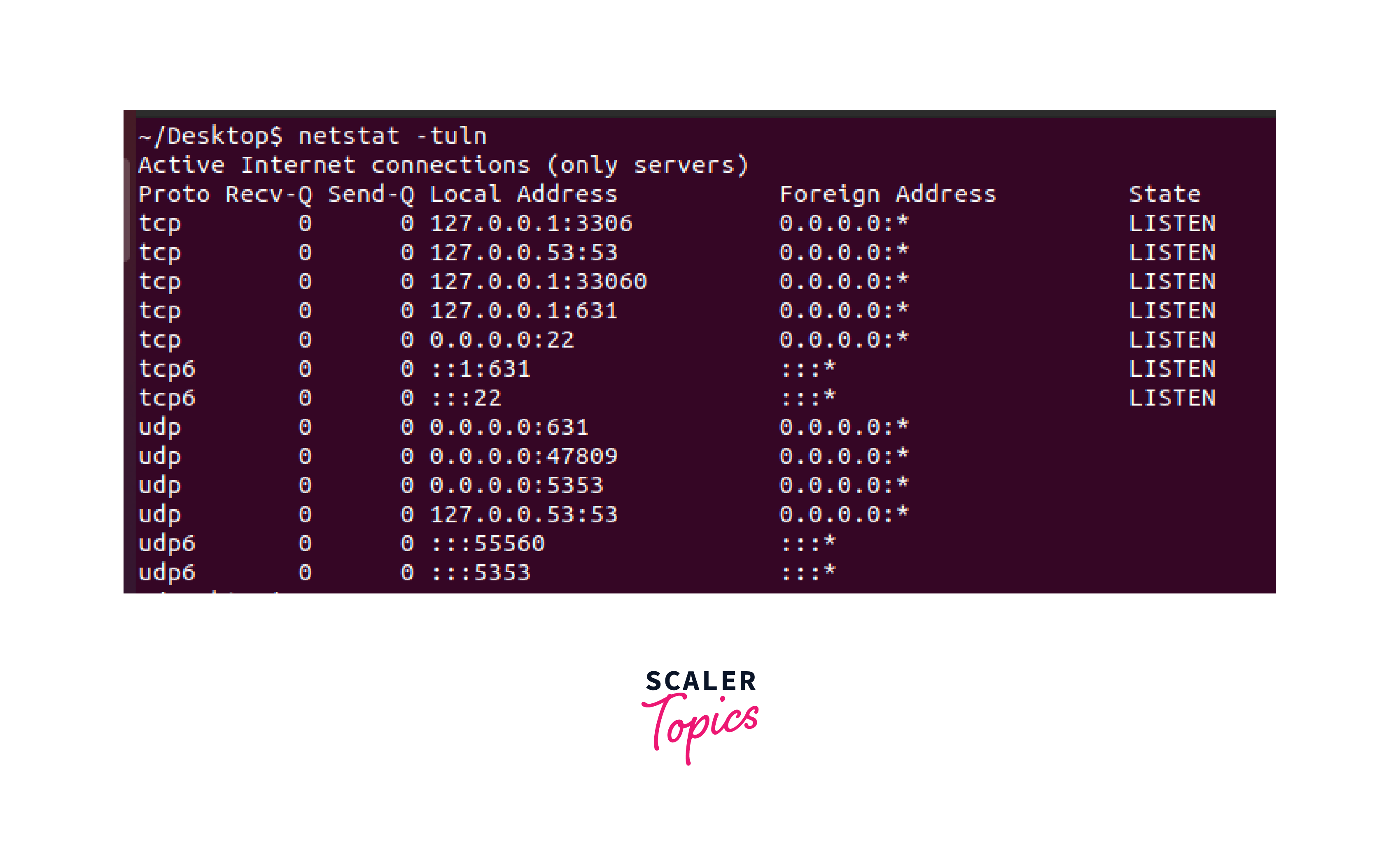 Output of the netstat command