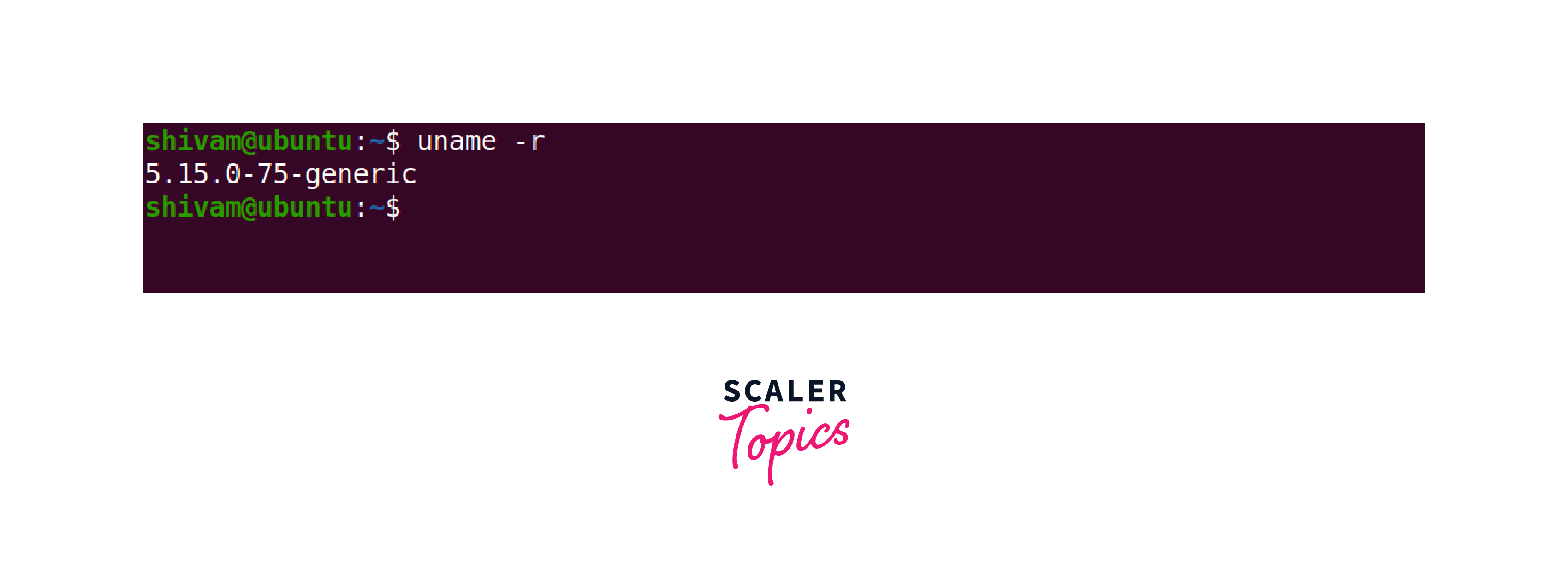 how-to-check-kernel-version-in-linux-scaler-topics