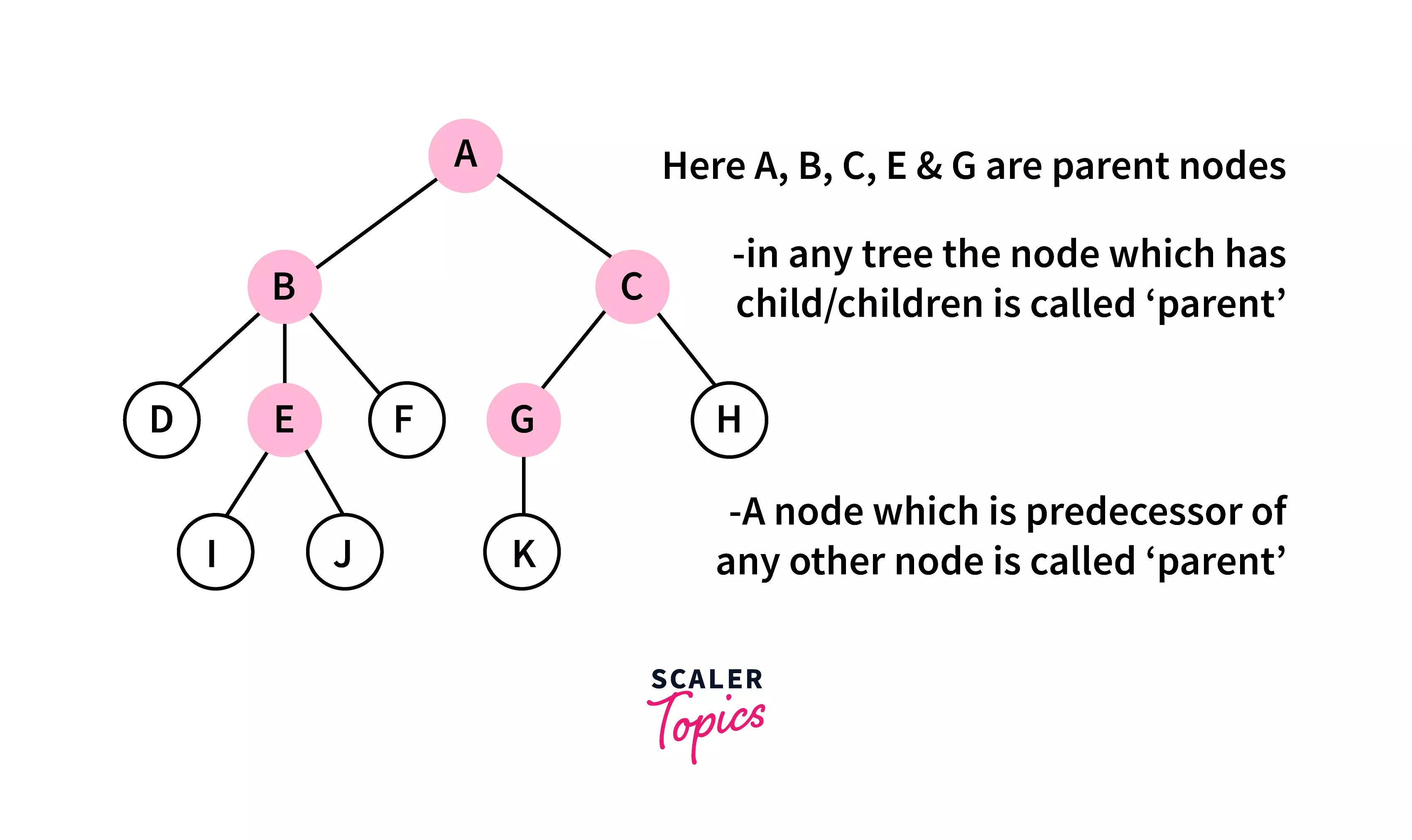 parent-tree-terminology