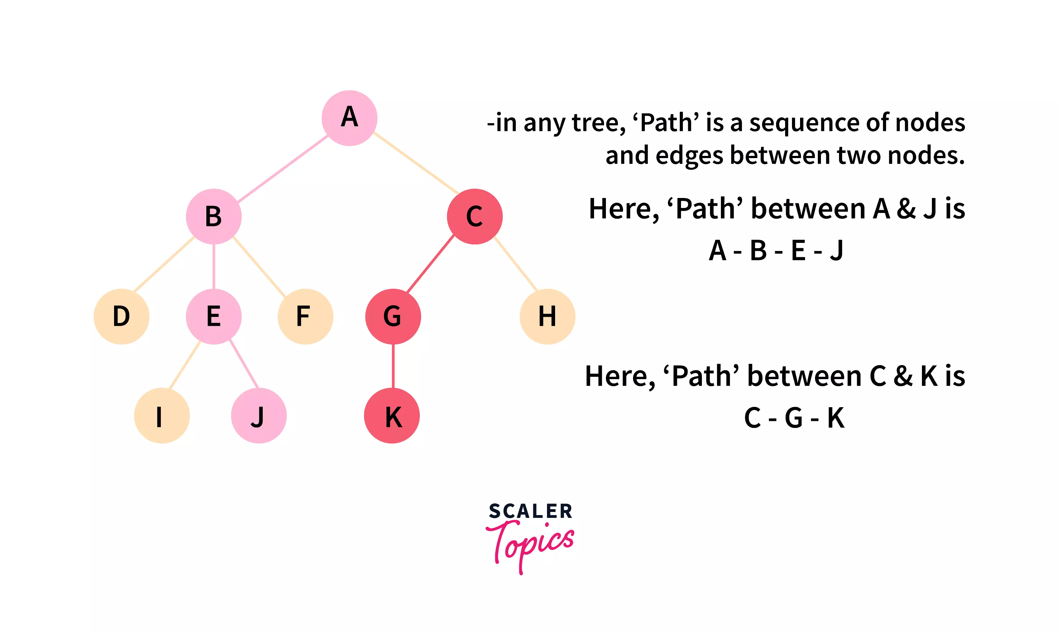 path-tree-terminology