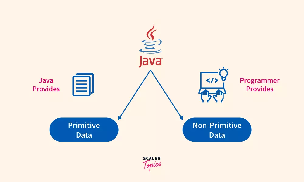 primitive data and non primitive data