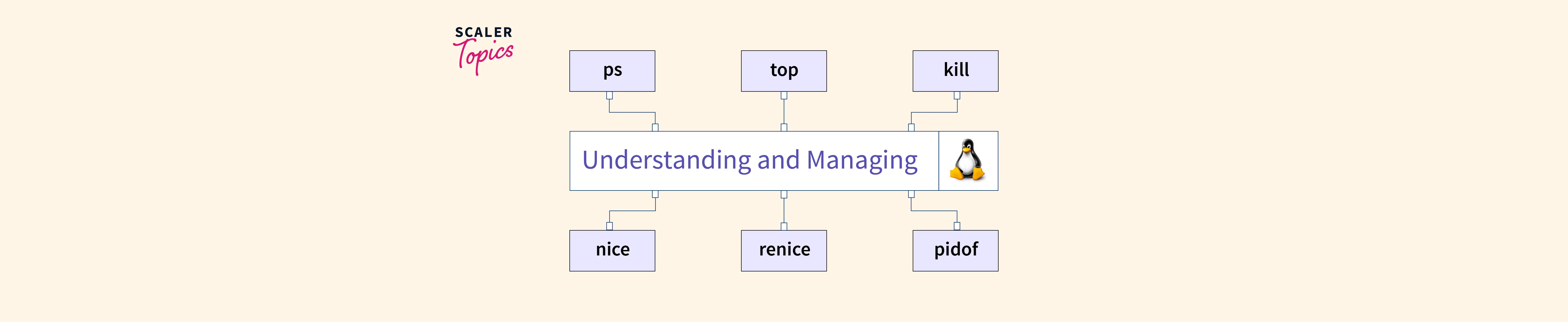 what-is-process-management-in-linux-scaler-topics