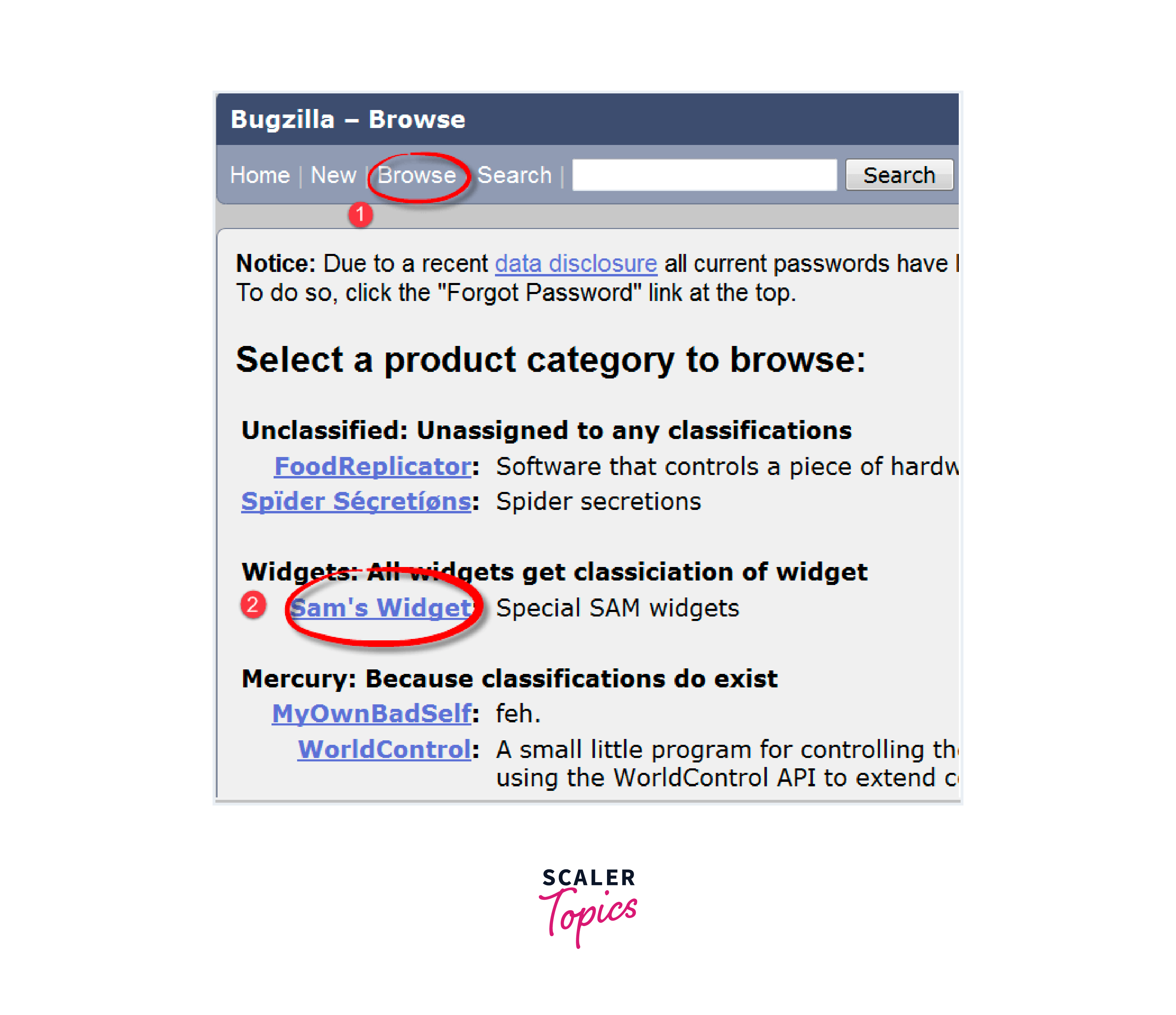 product category window