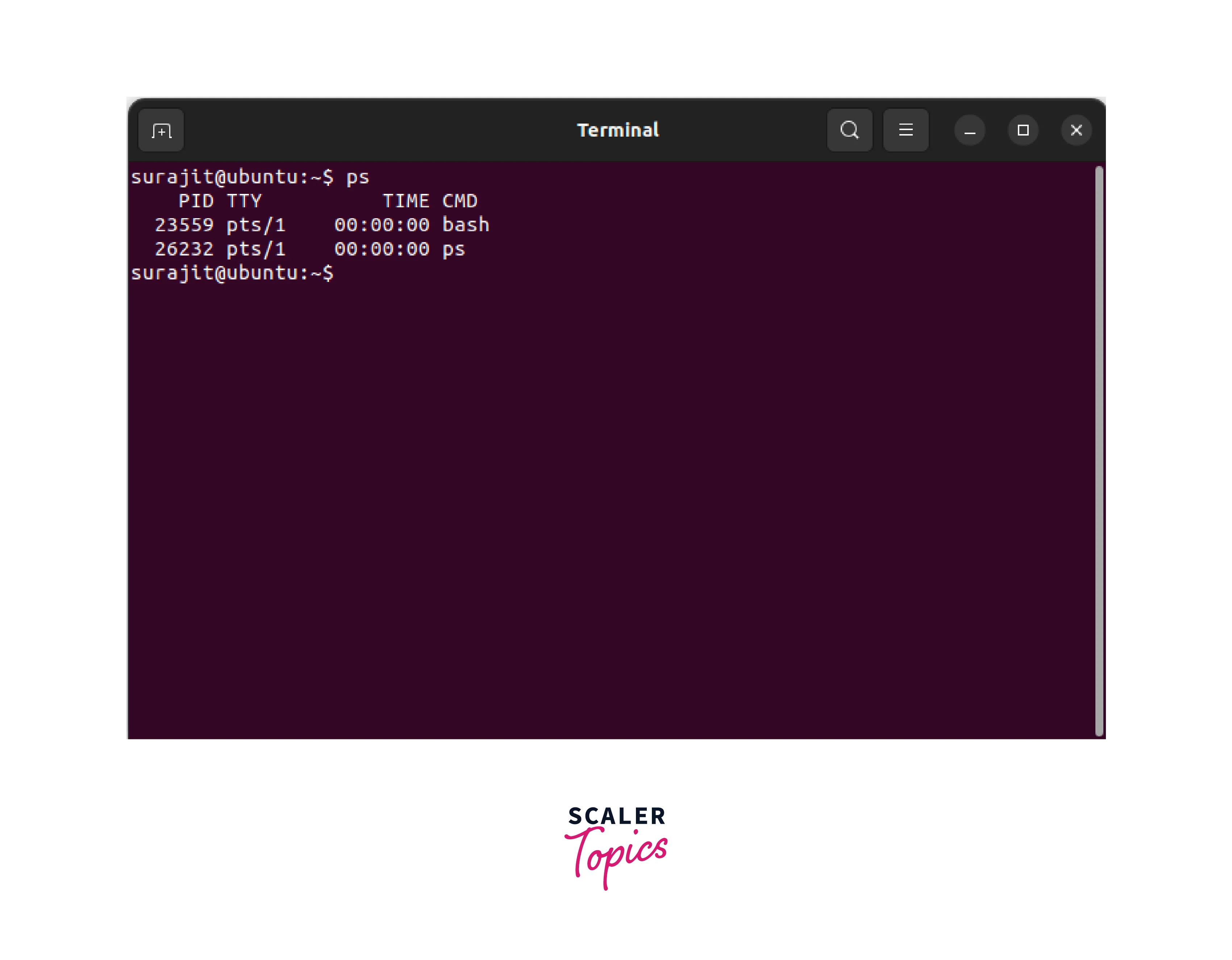 ps command on terminal