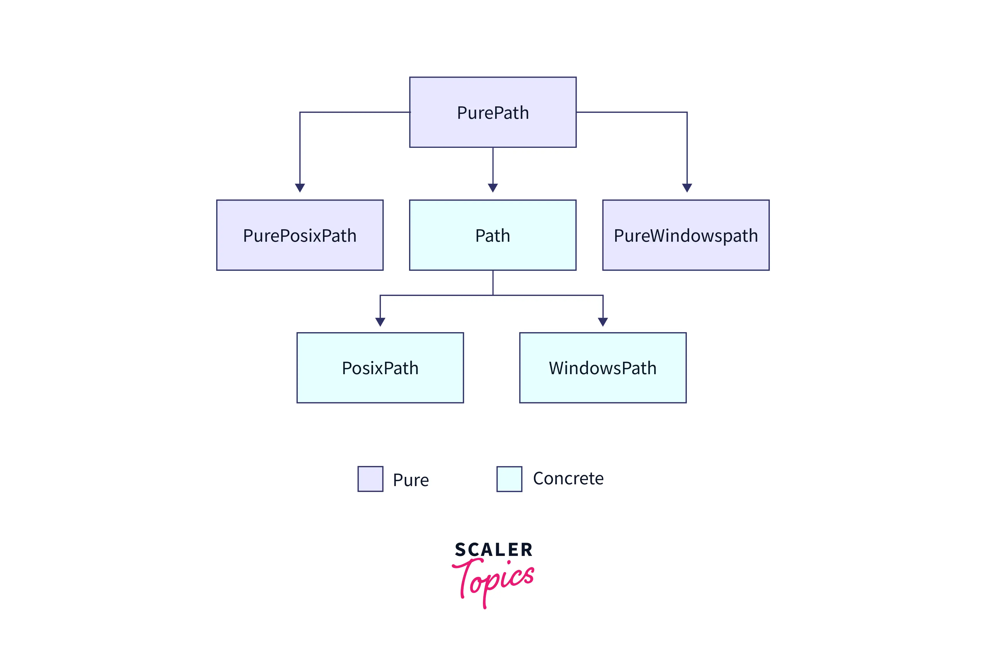 Pure Paths Clases