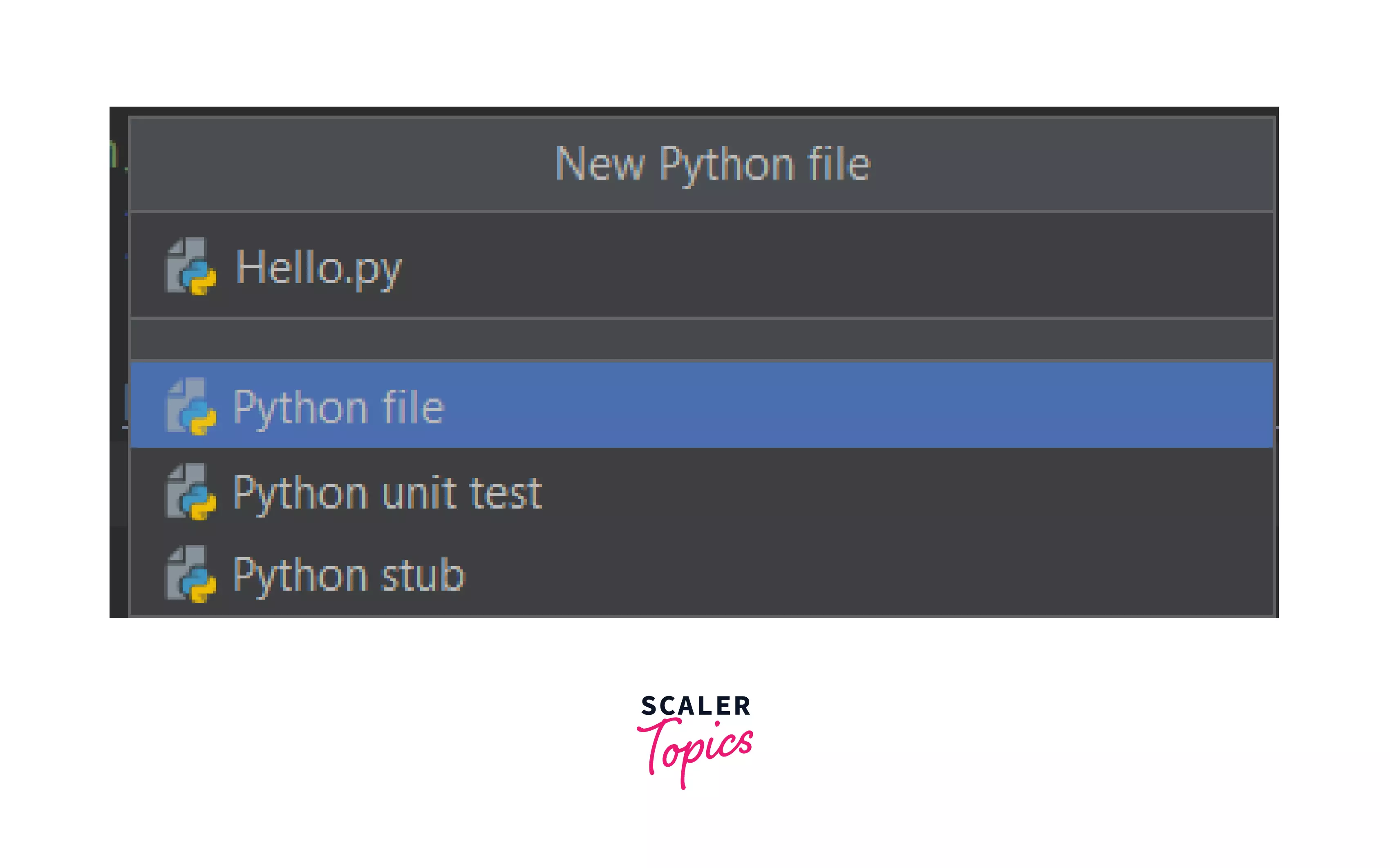 Python IDE File Name