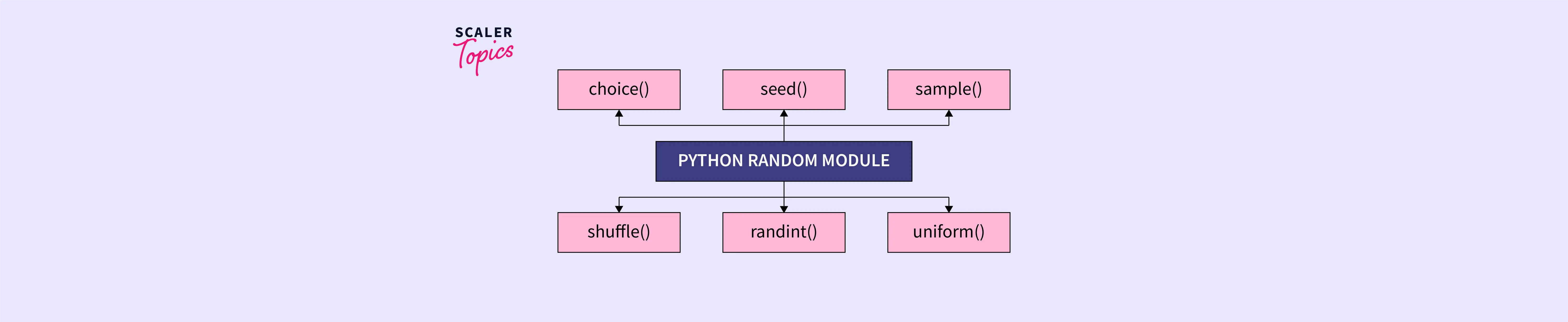 python-random-module-scaler-topics