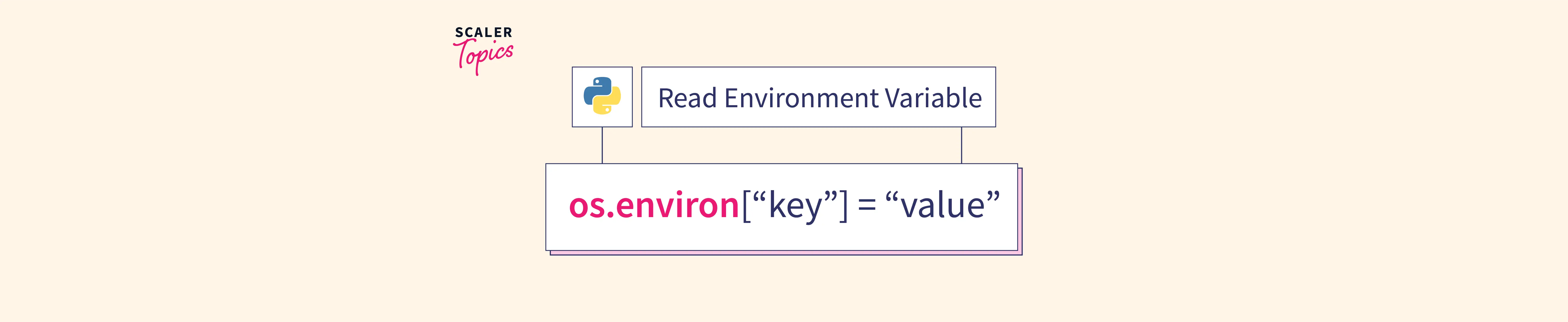 react-how-to-use-environment-variables-dirask