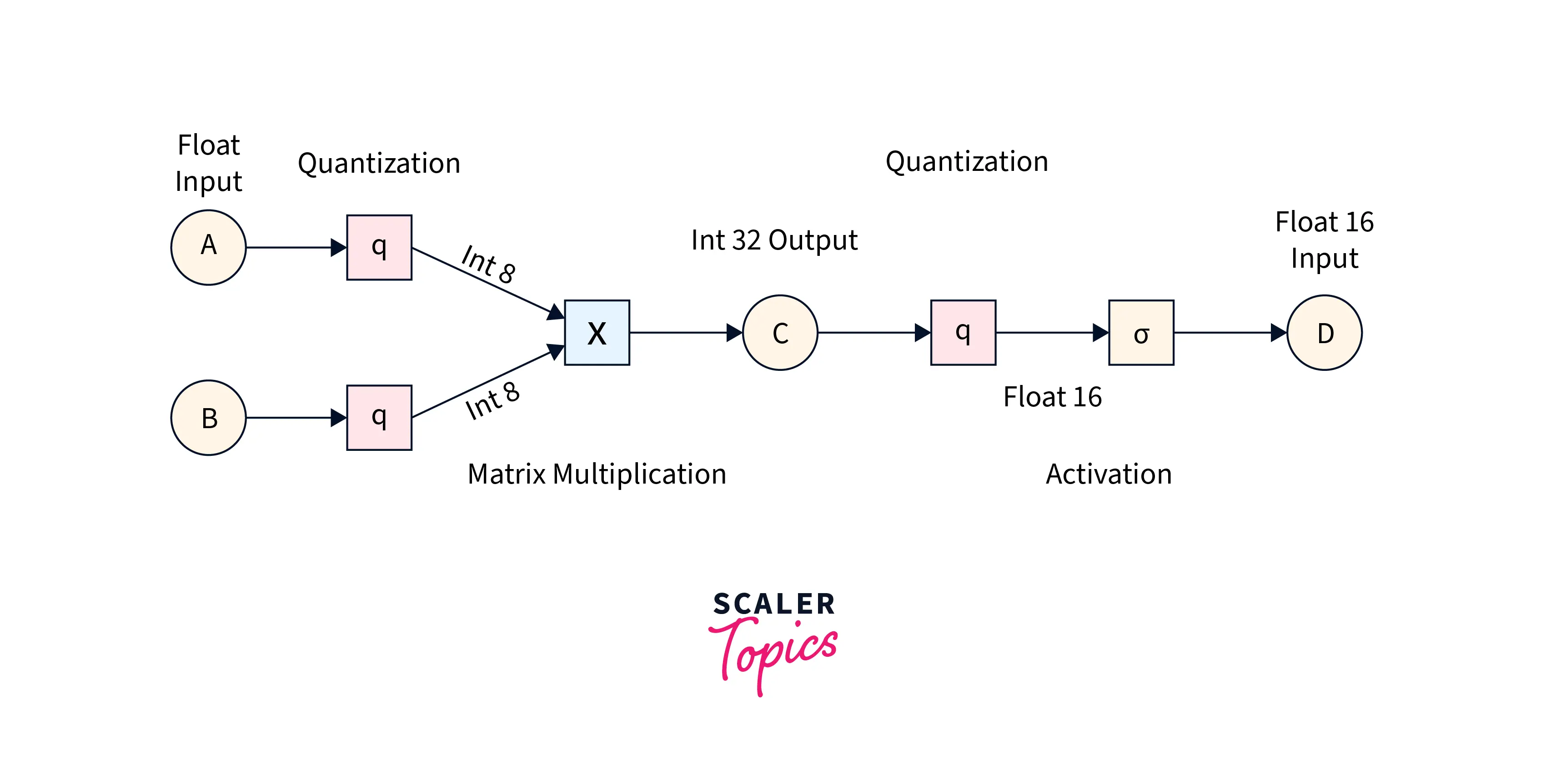 quant-in-dl