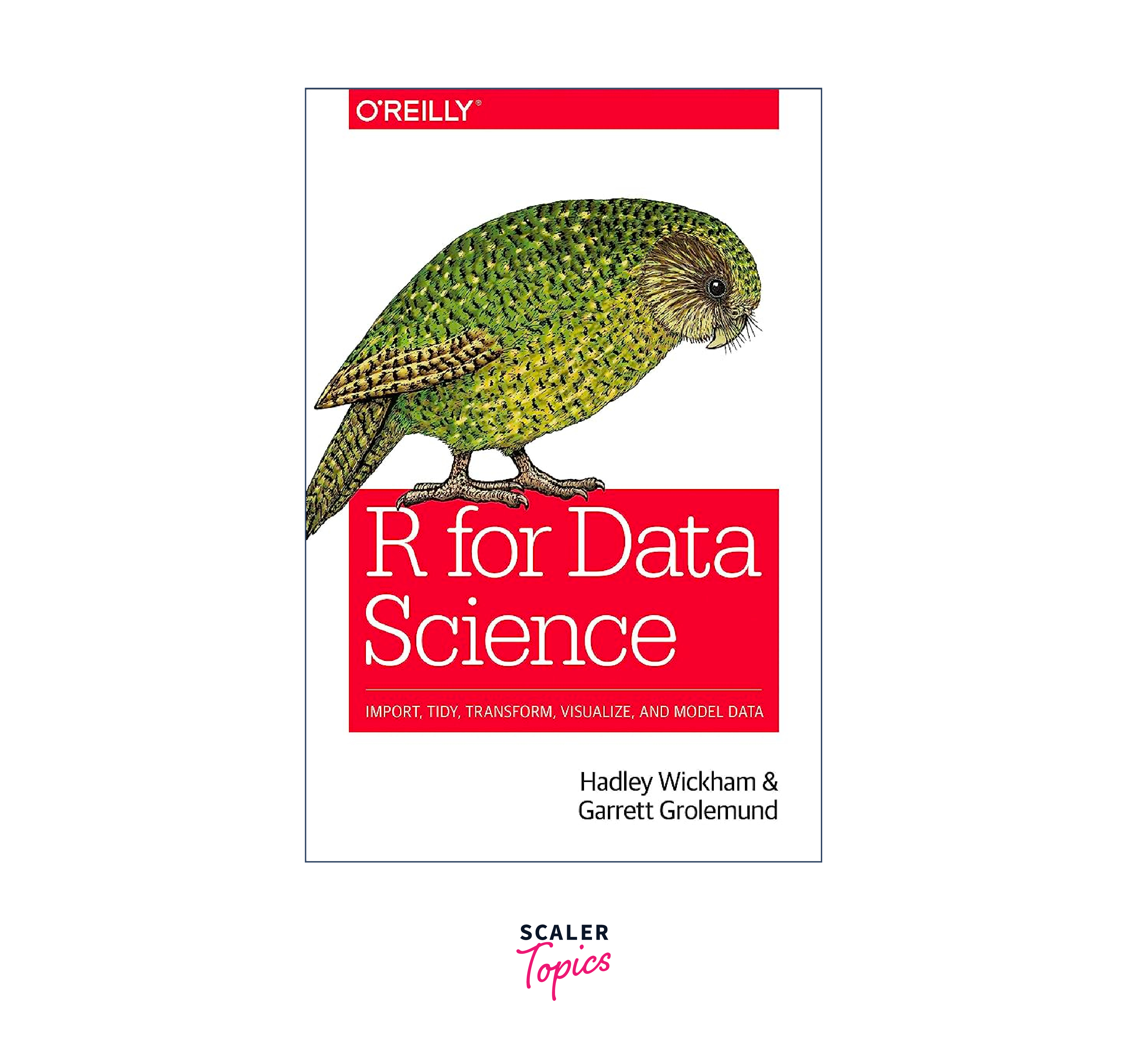 R for Data Science