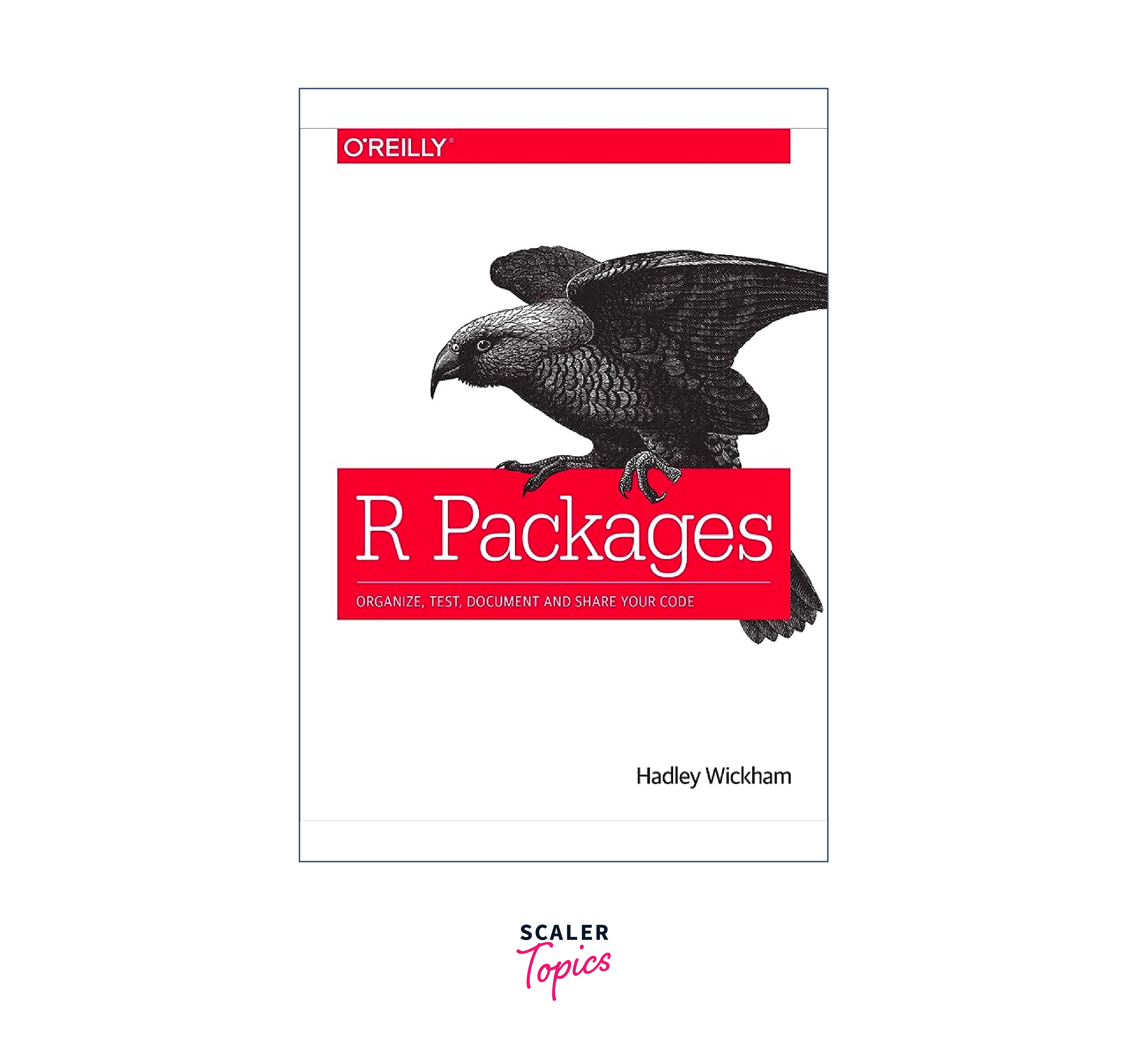 R Packages