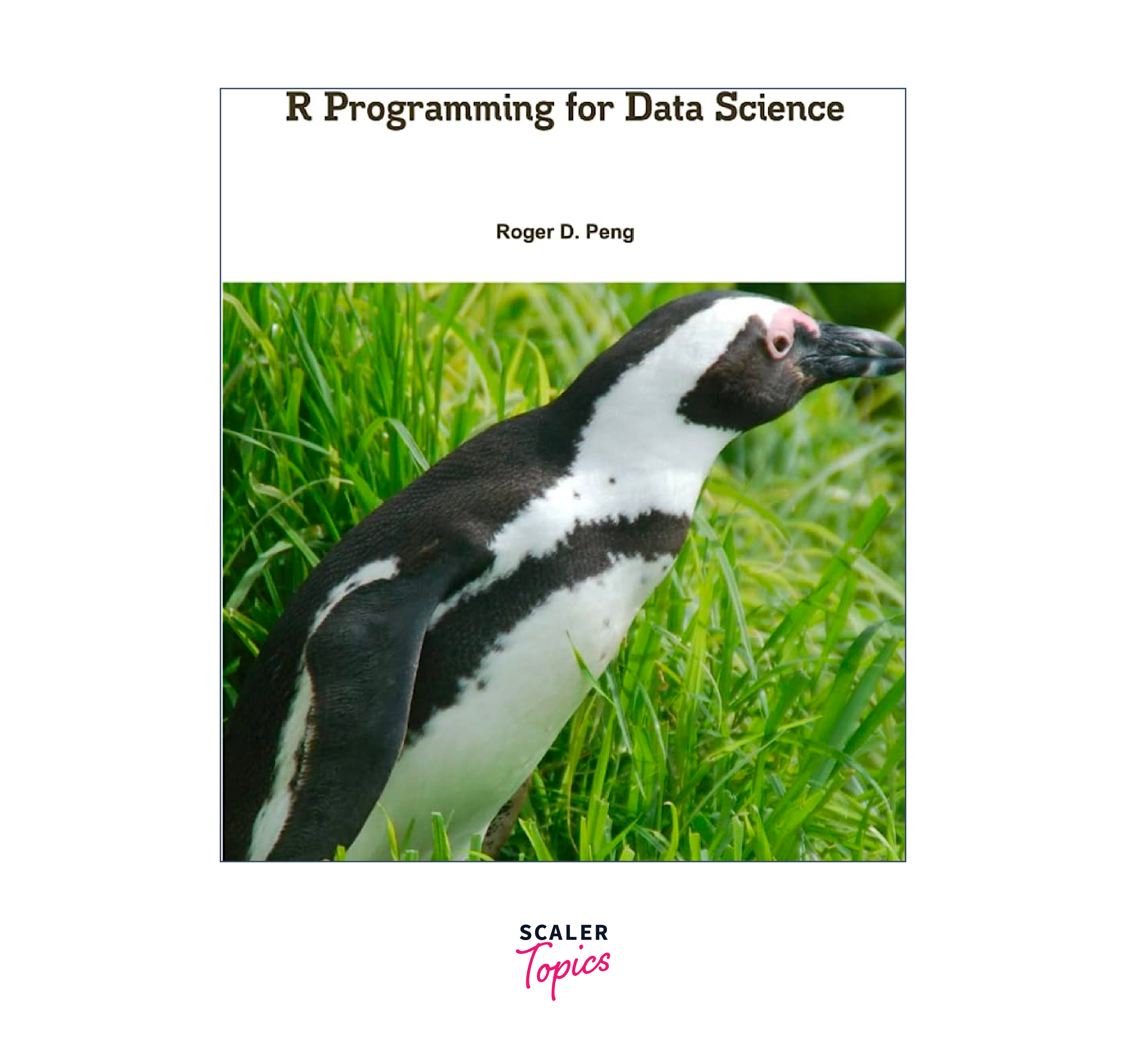 R Programming for Data Science