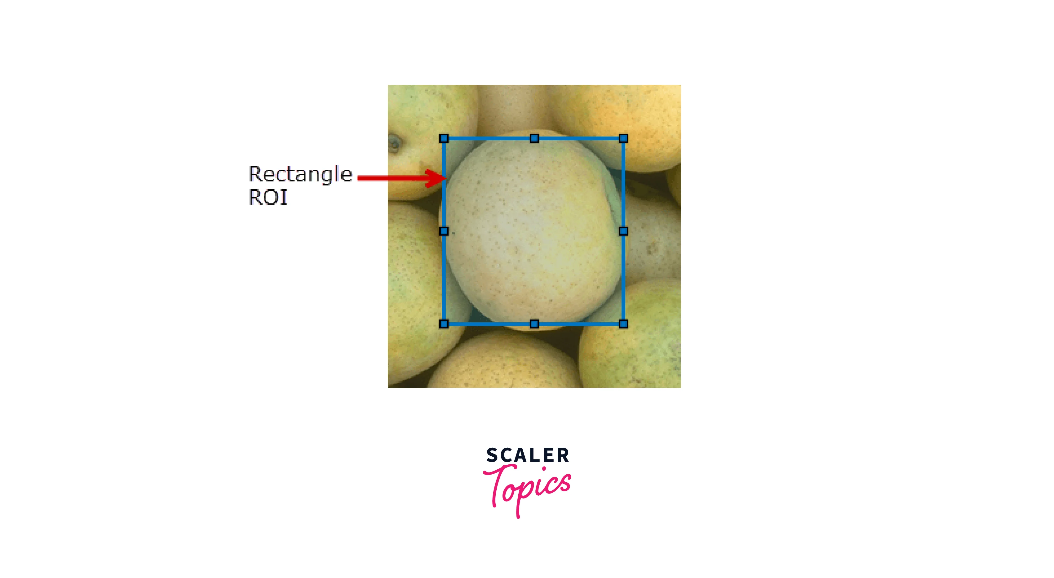 rectangular roi