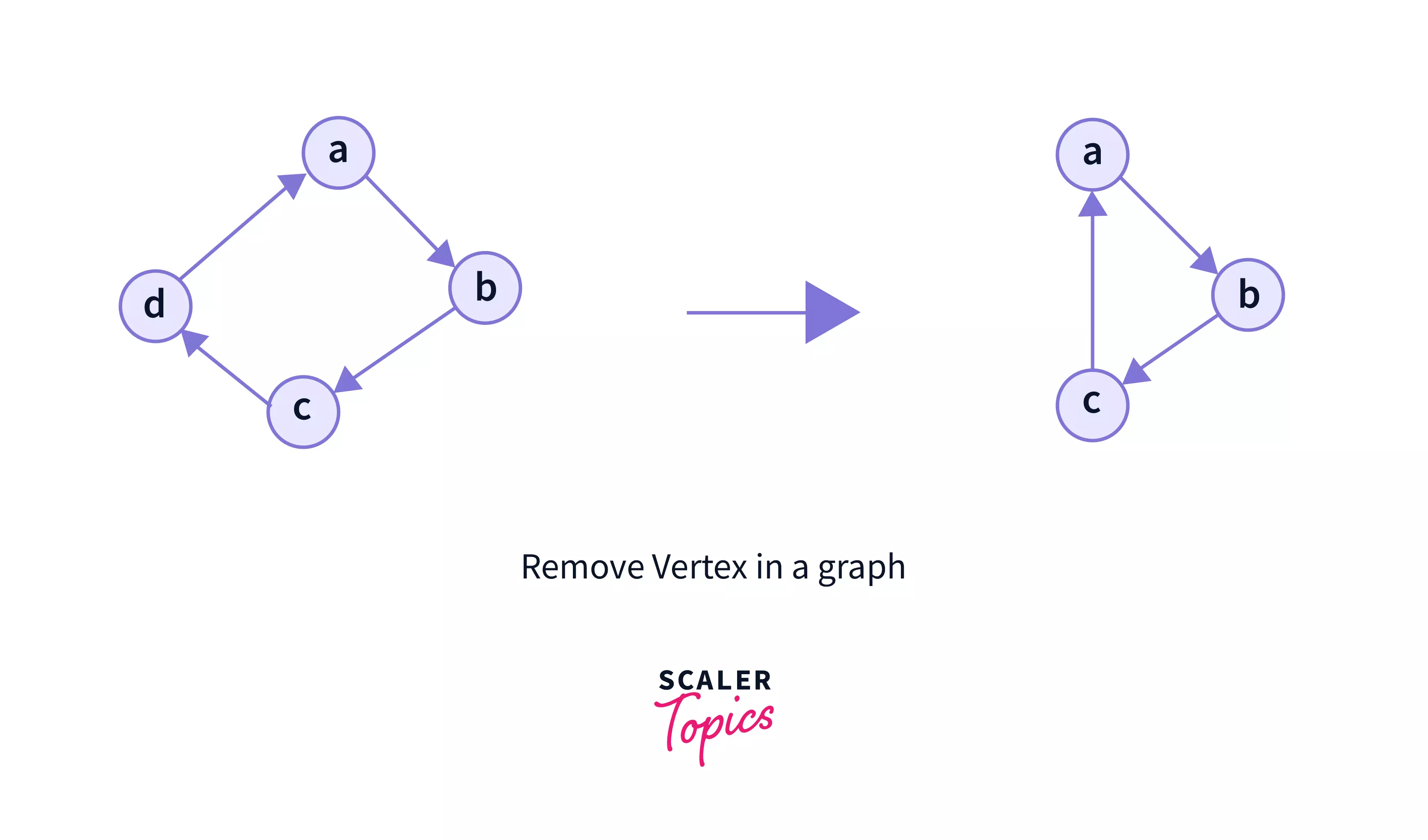 remove vertex in a graph