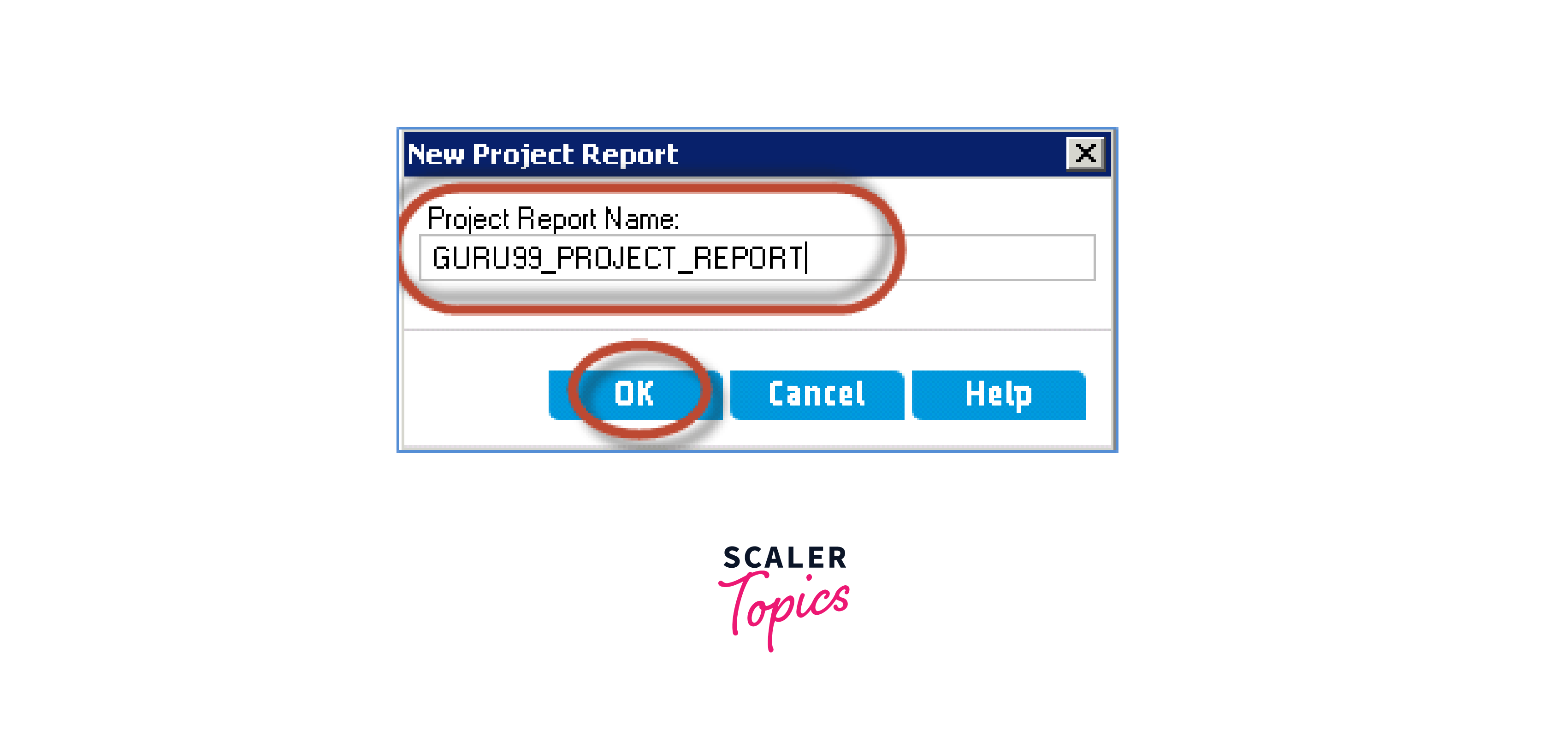 new project report dialog