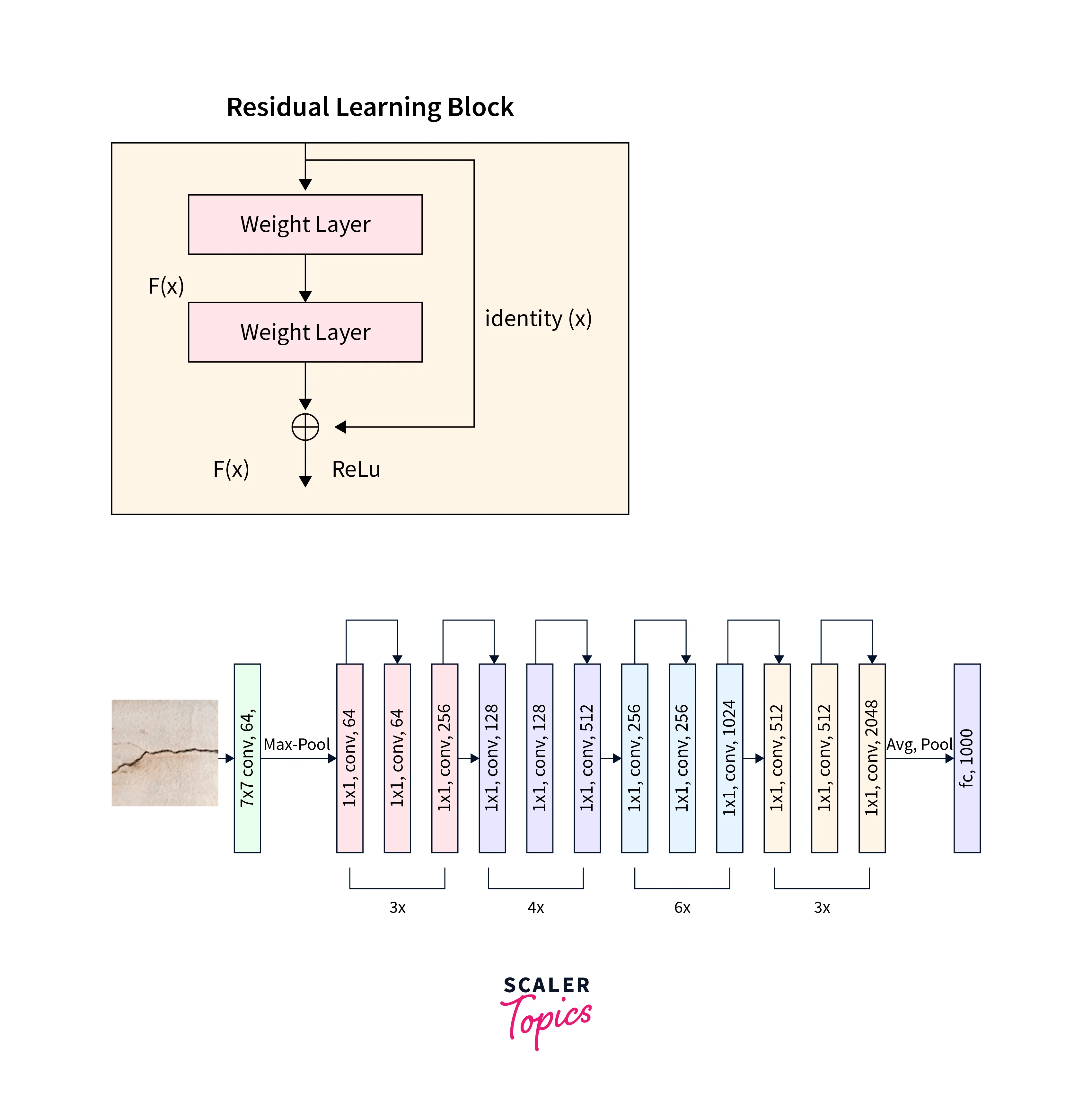 resnet 50 architecture