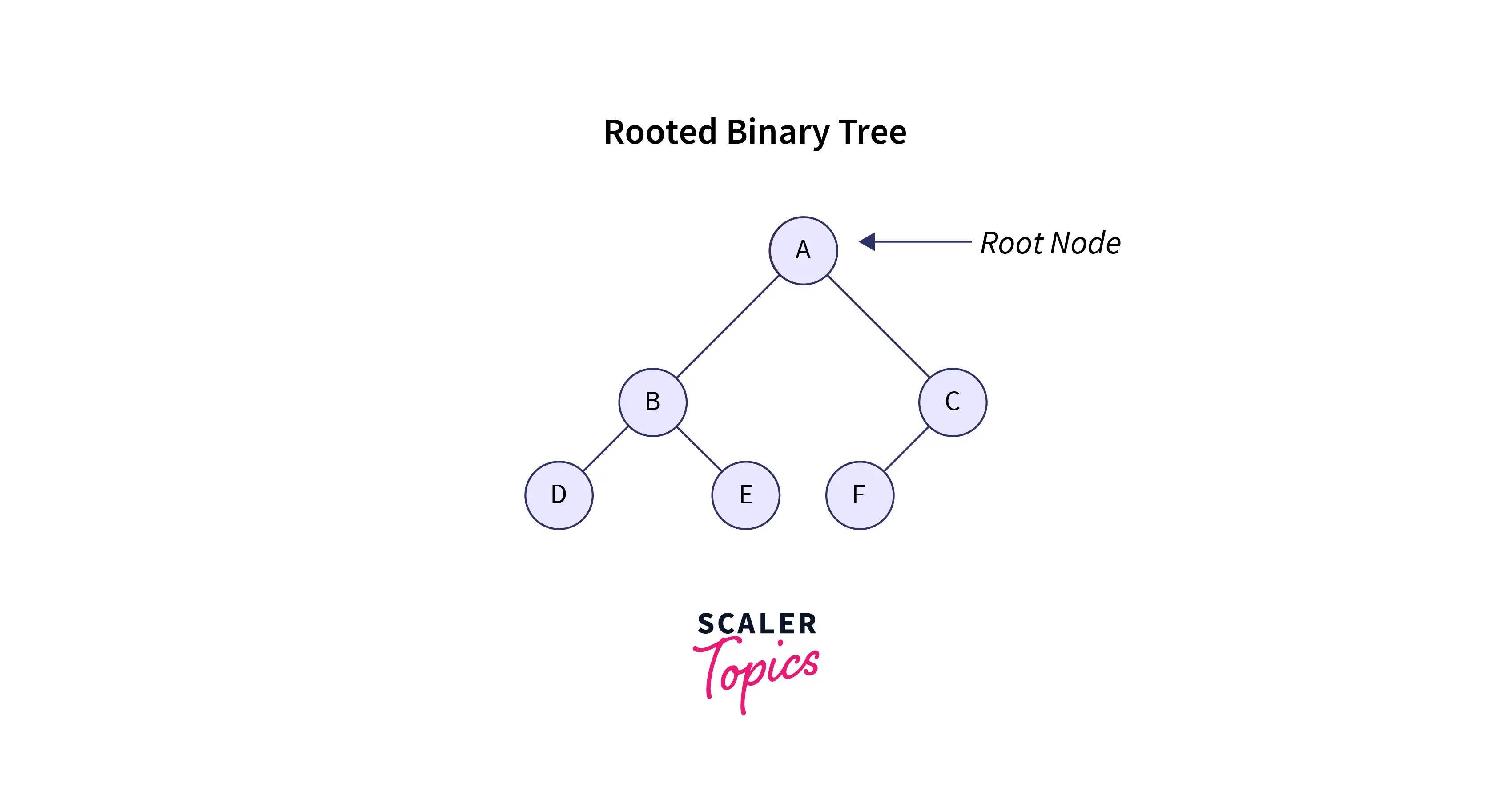 What are the Types of Binary Trees? - Scaler Topics