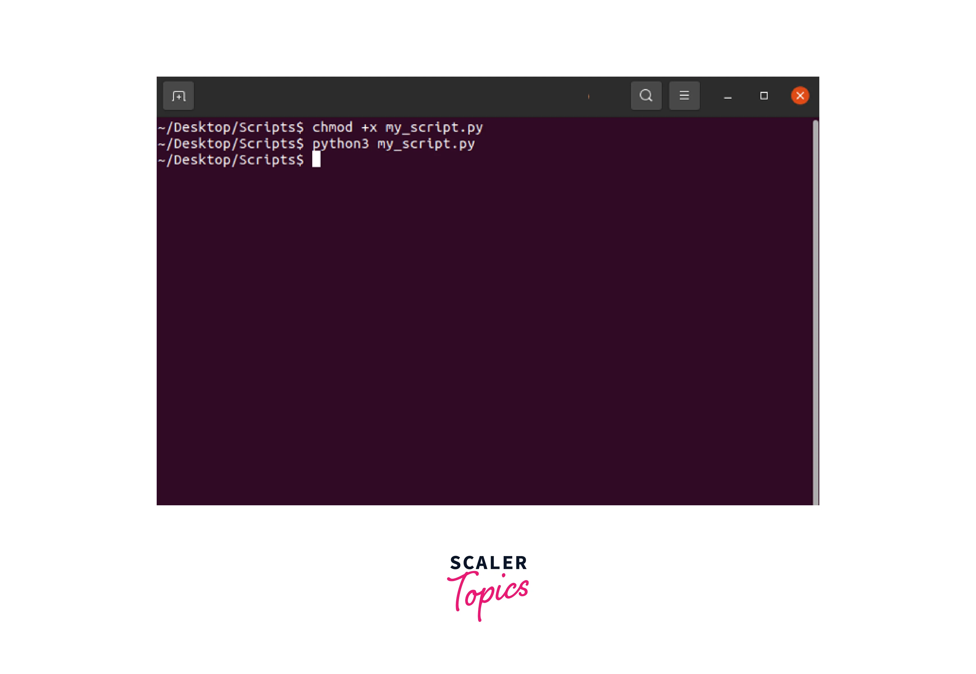 How To Run Python Script in Linux? - Scaler Topics