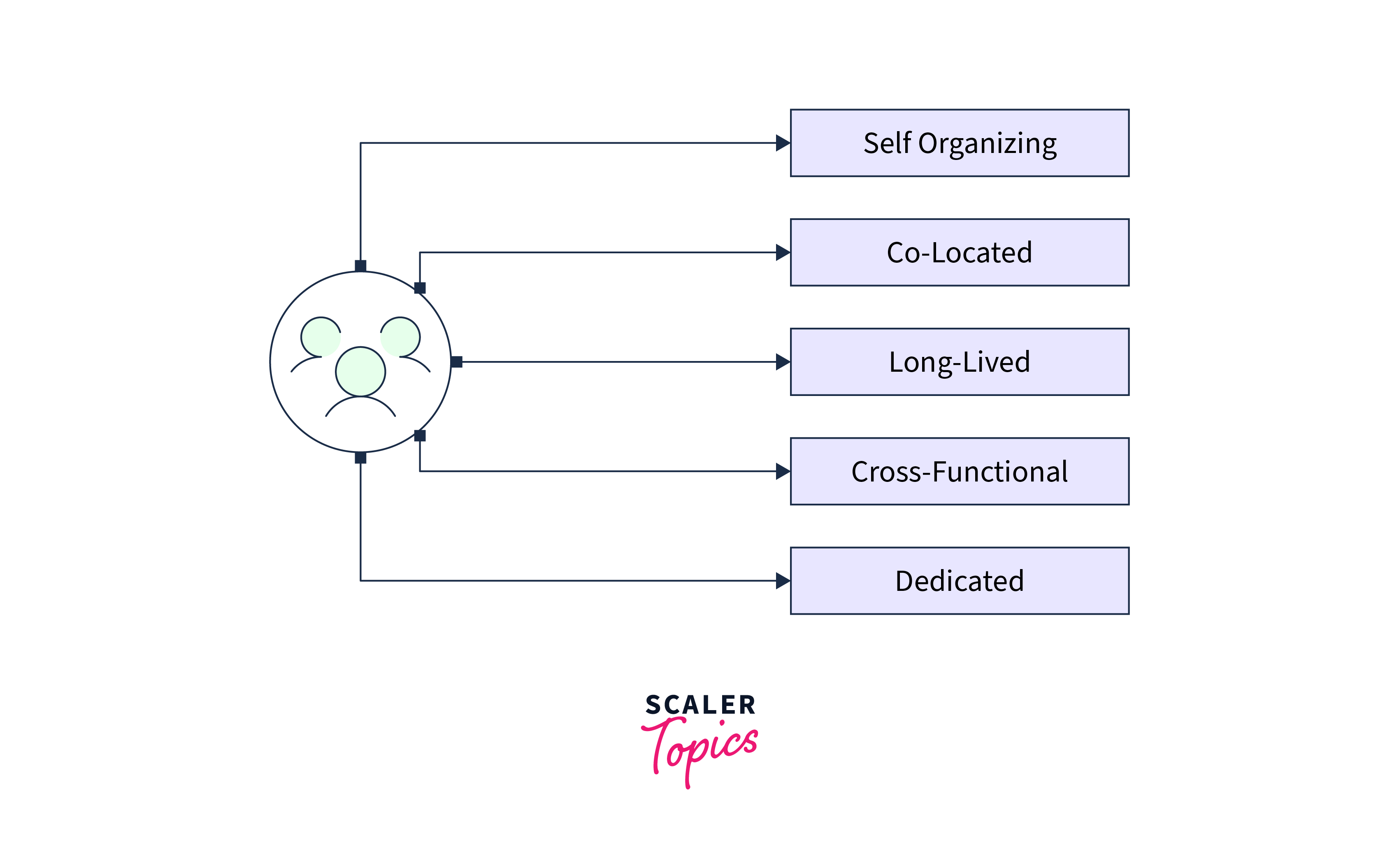 Scrum Teams Attributes