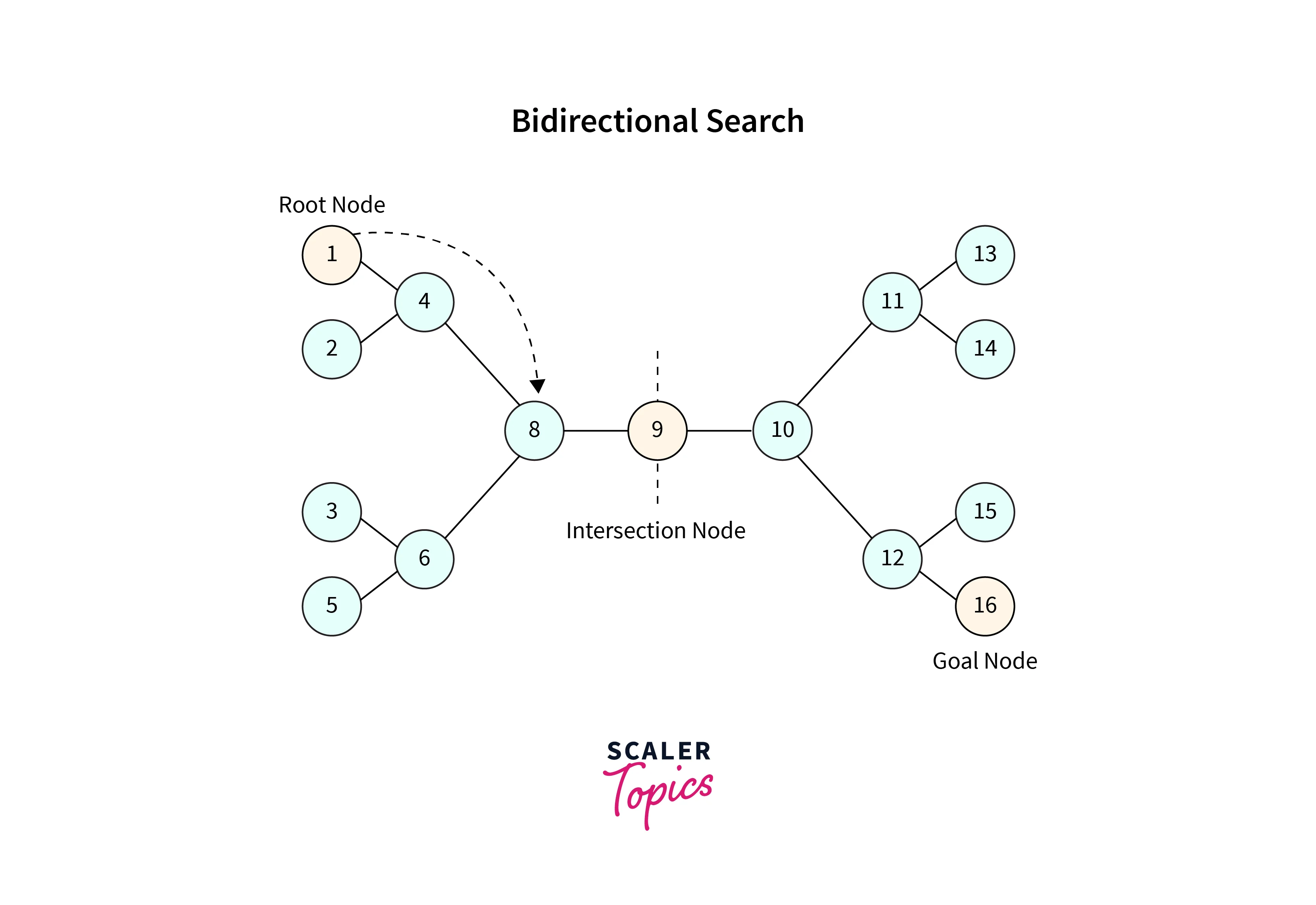 Bidirectional search algorithm in store artificial intelligence with example