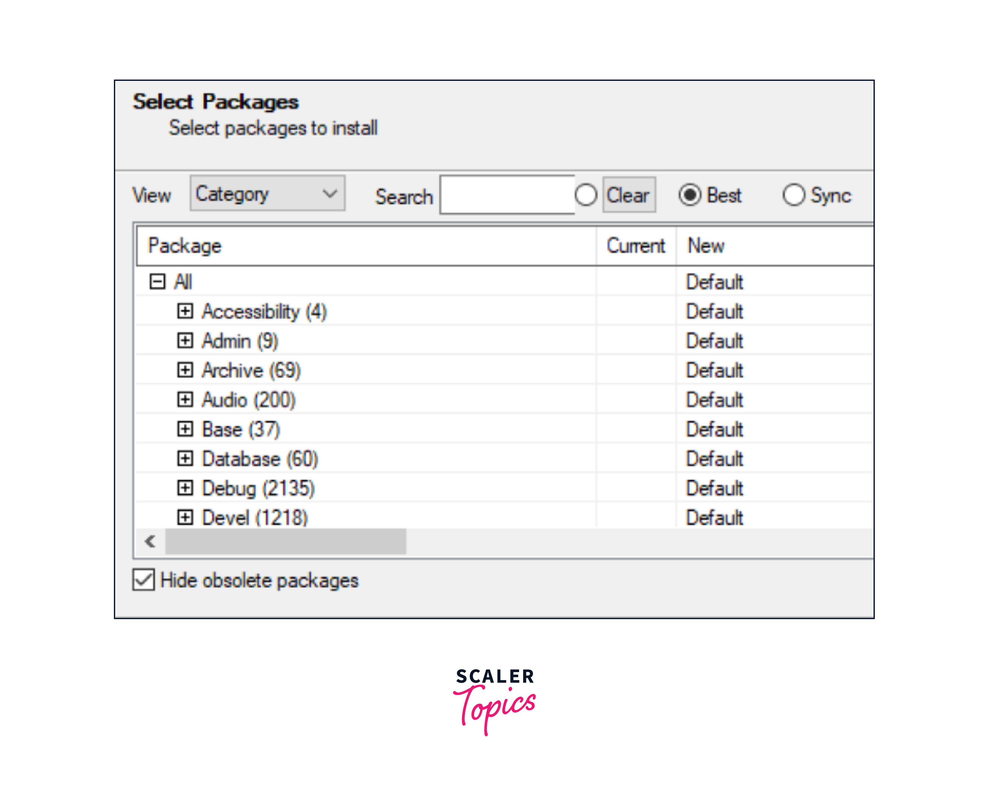 select packages to install option