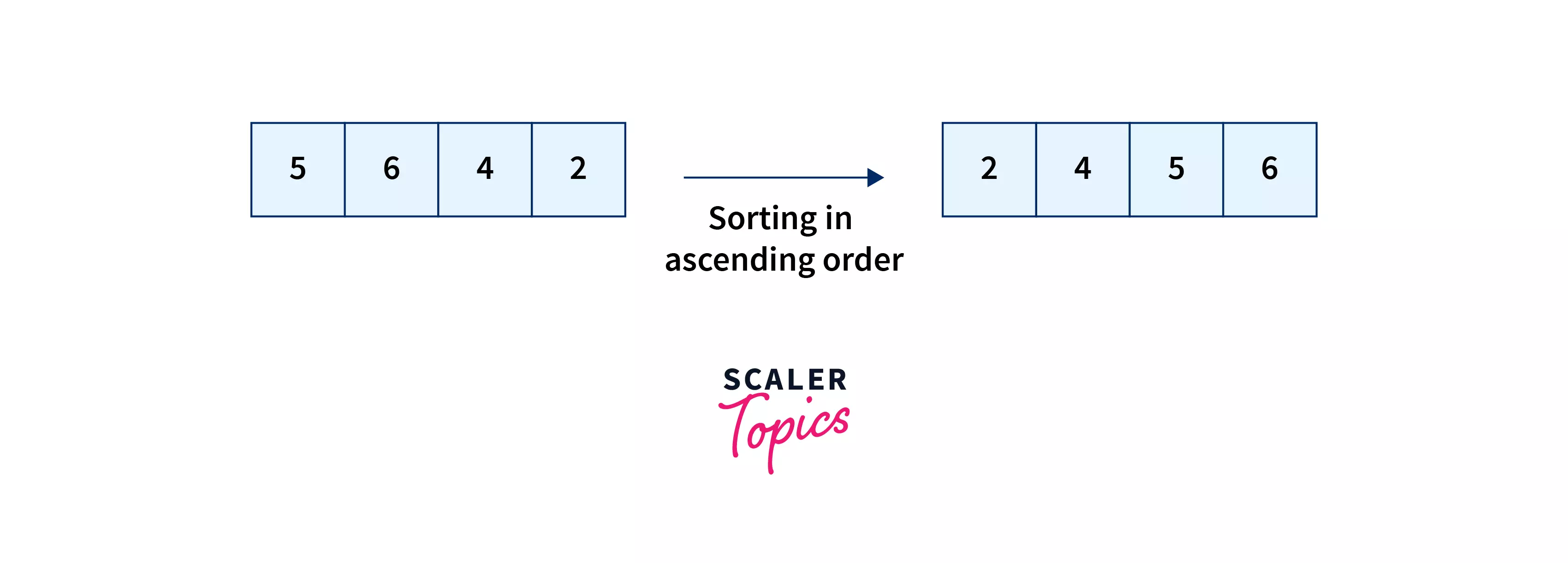 Selection sort algorithm