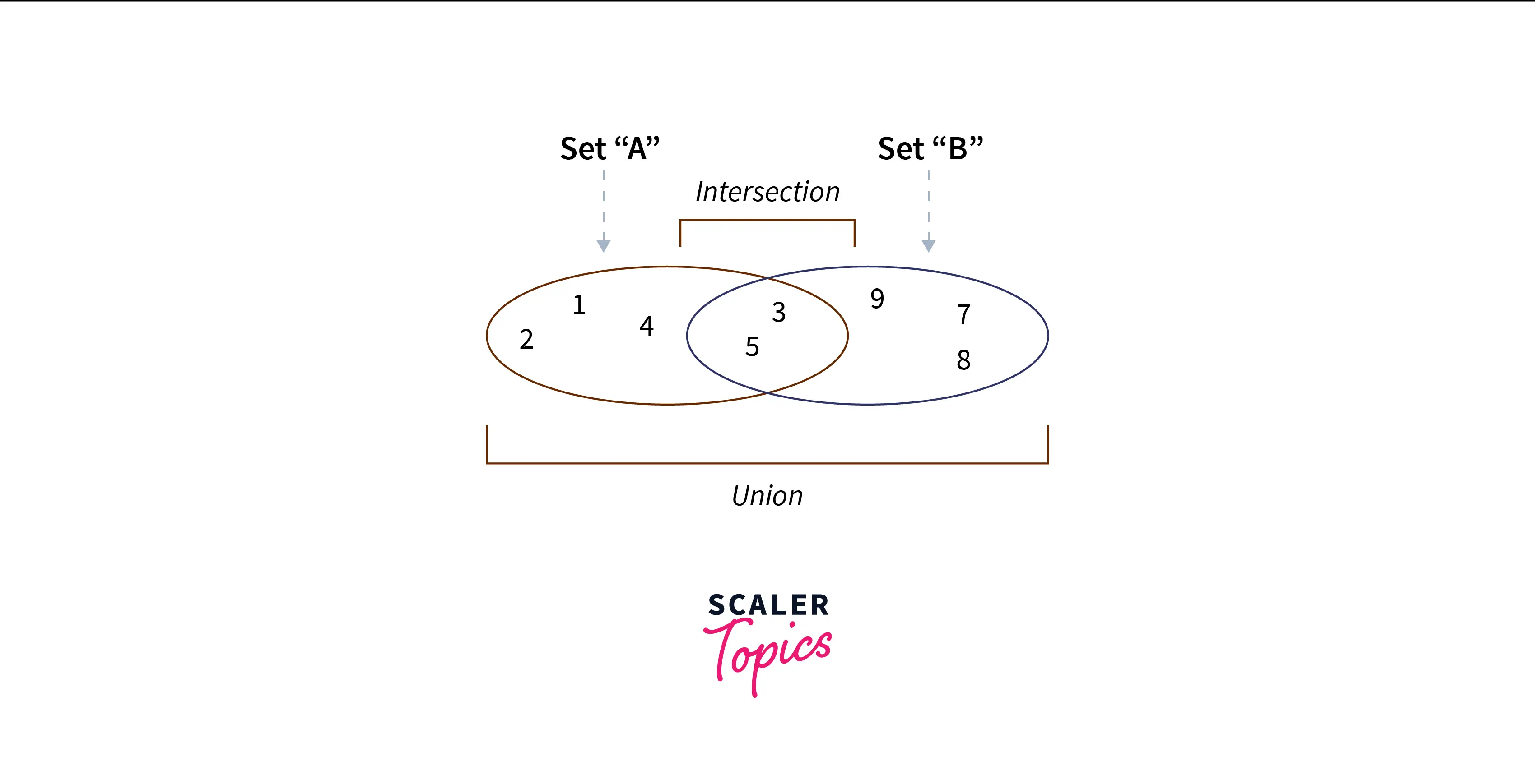 Bubble Sort in JavaScript- Scaler Topics