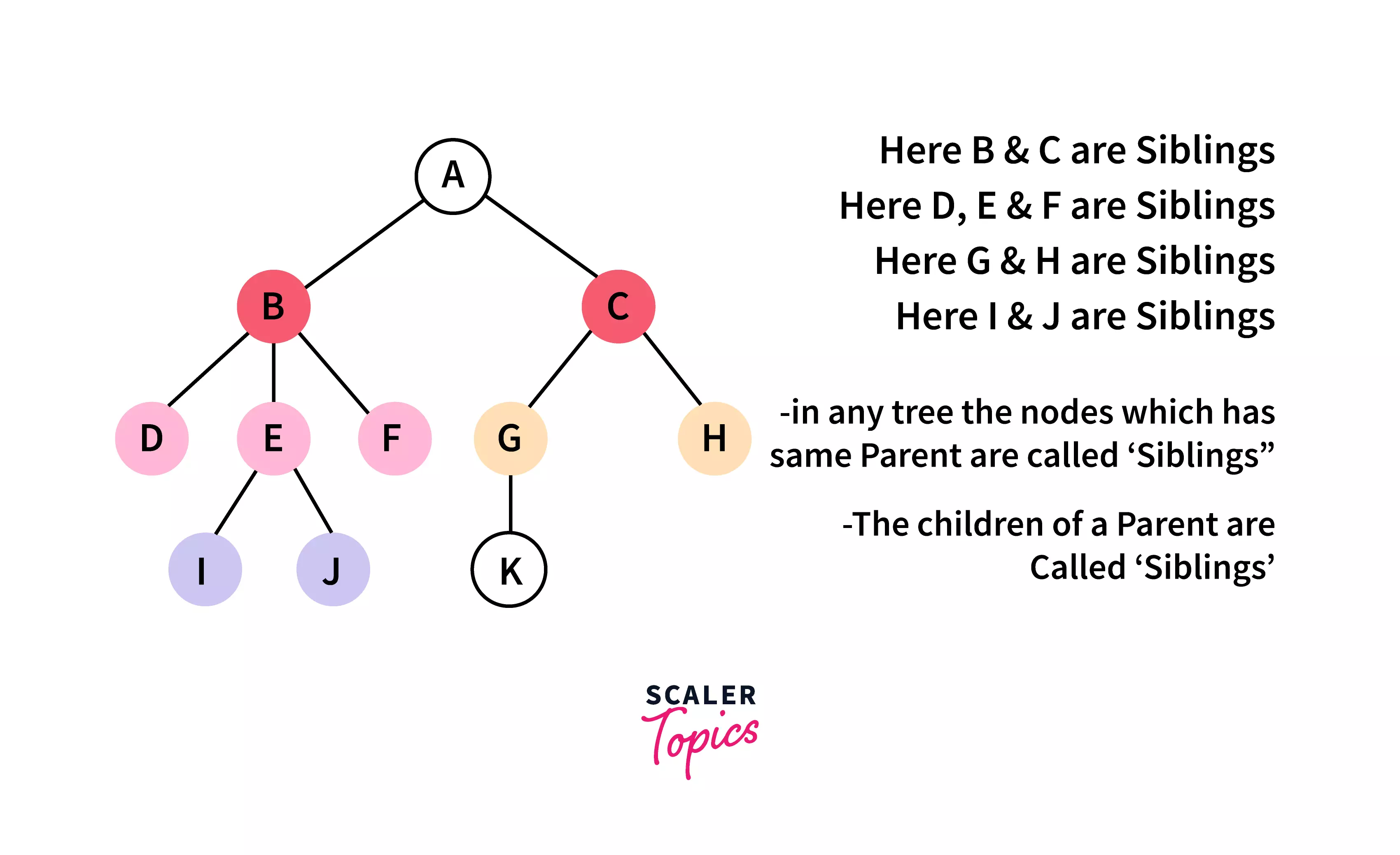 siblings-tree-terminology
