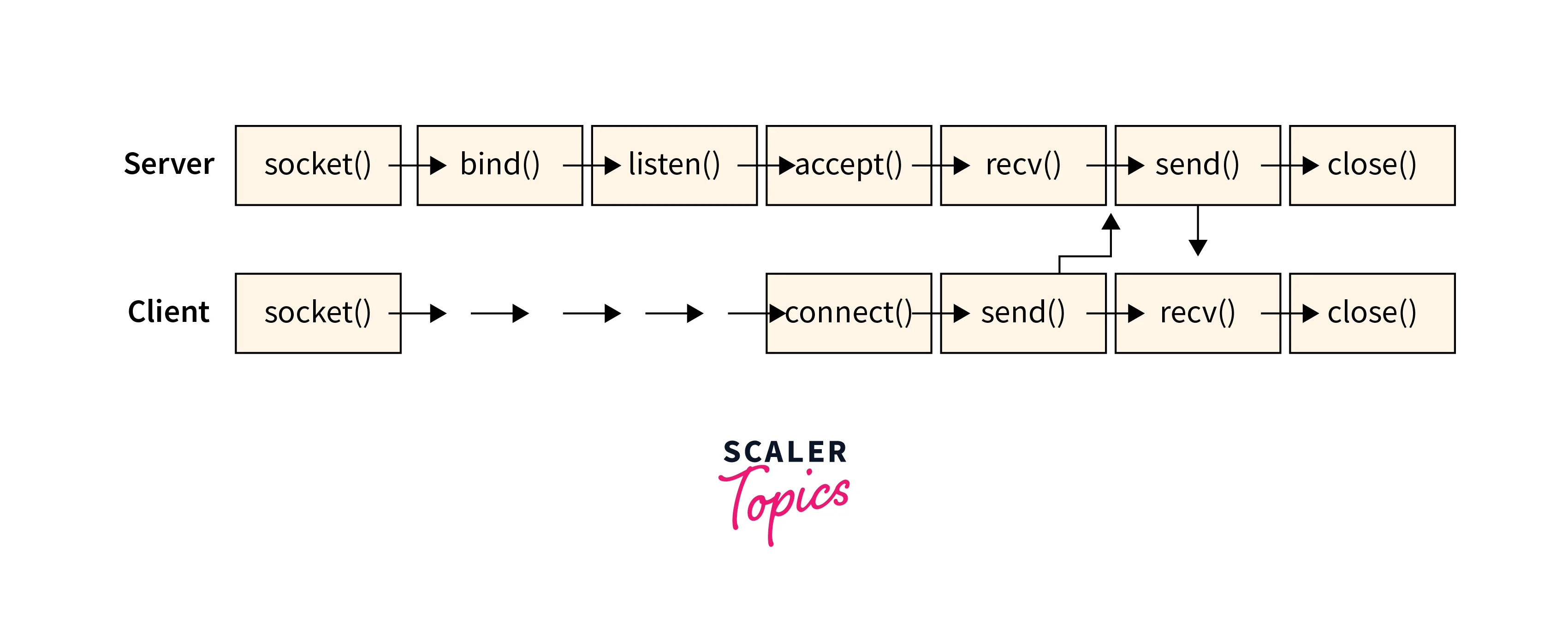 SOCKET_WORKING