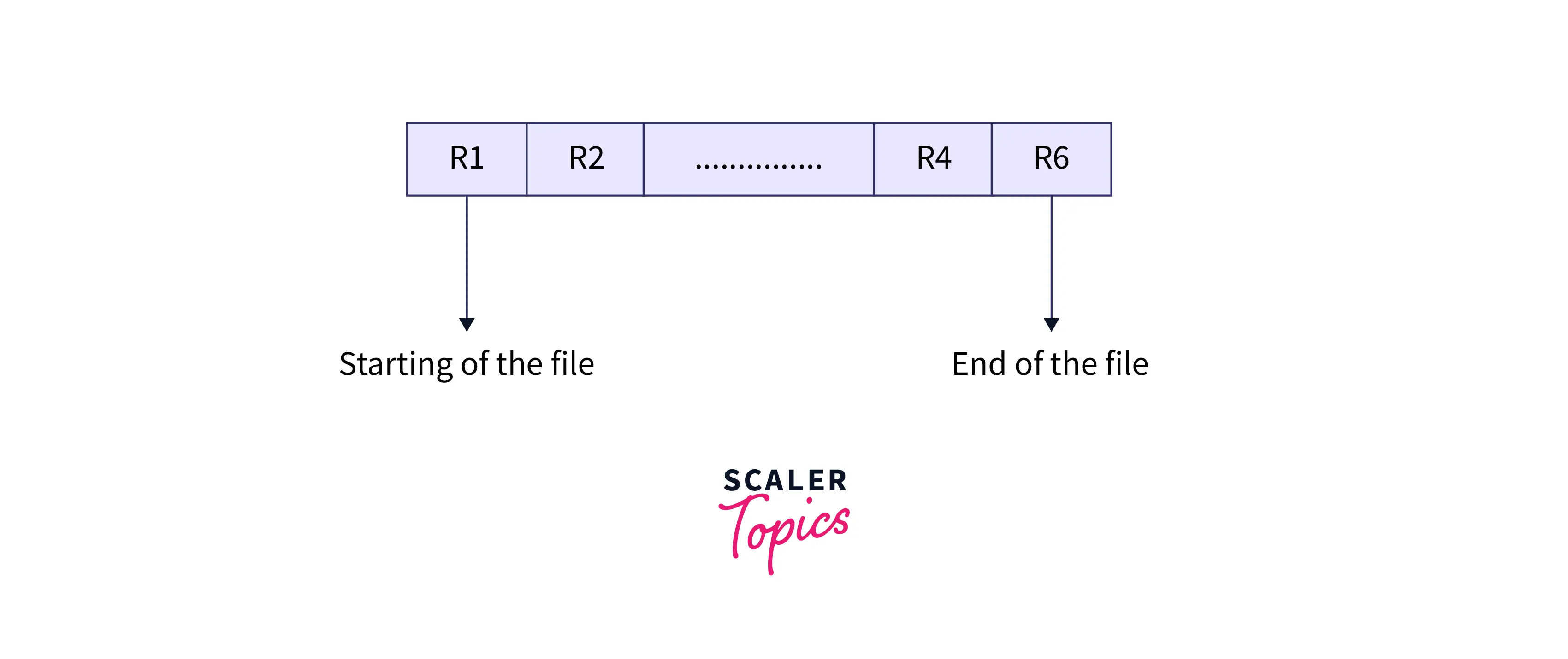 What Is Sequential File Organization In Dbms